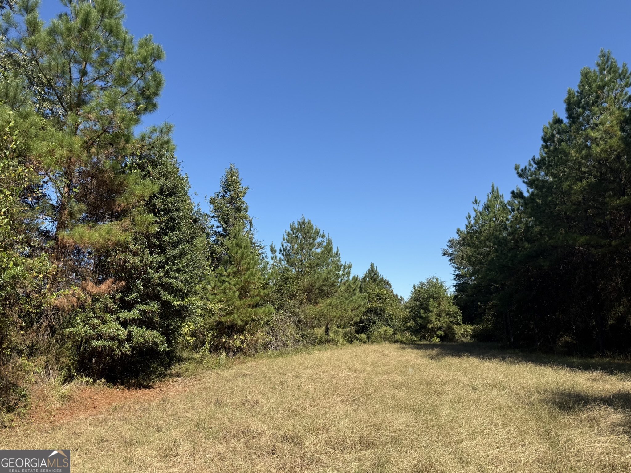 009 Mt Zion Road Property Photo 6