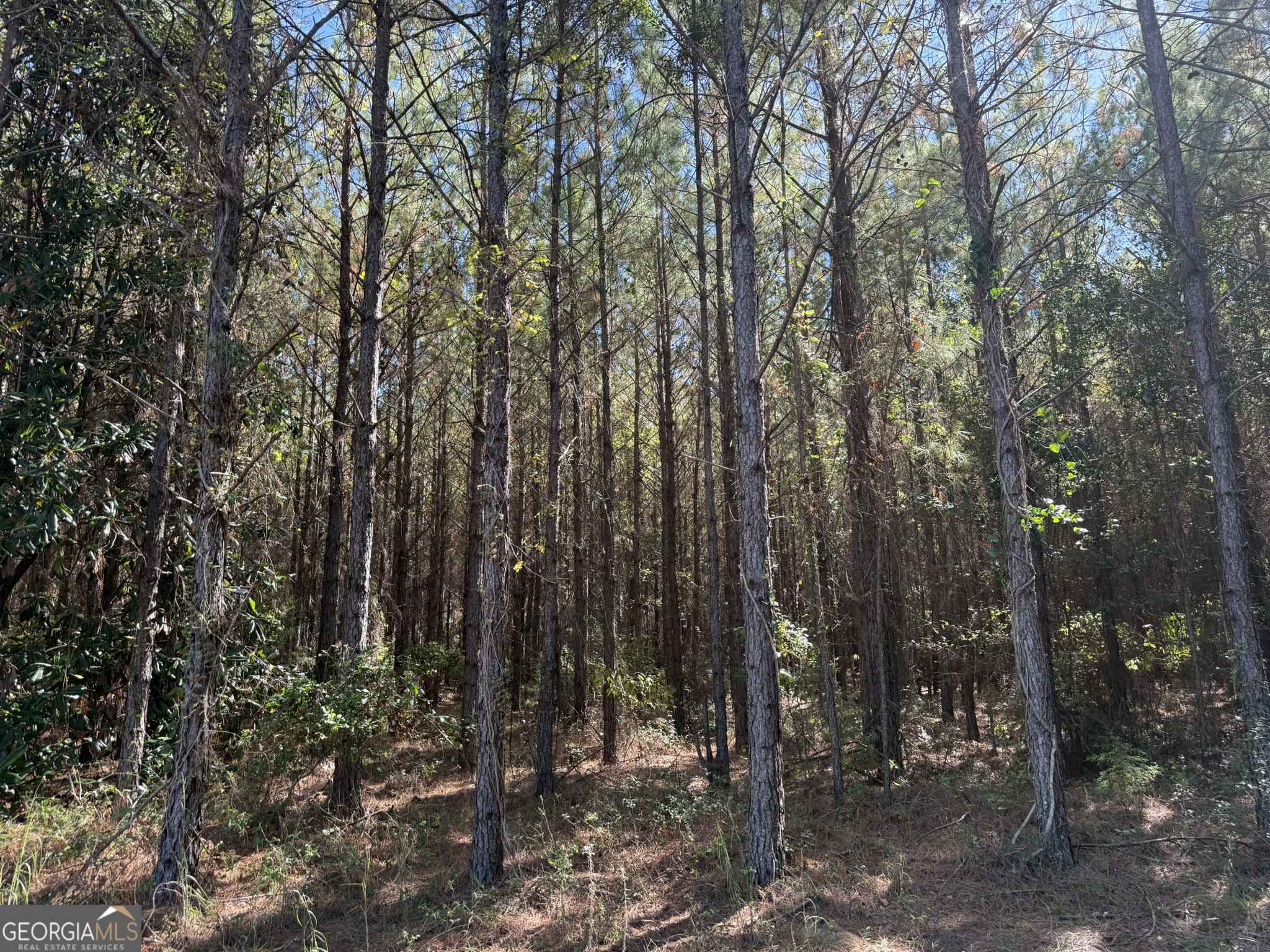 009 Mt Zion Road Property Photo 8