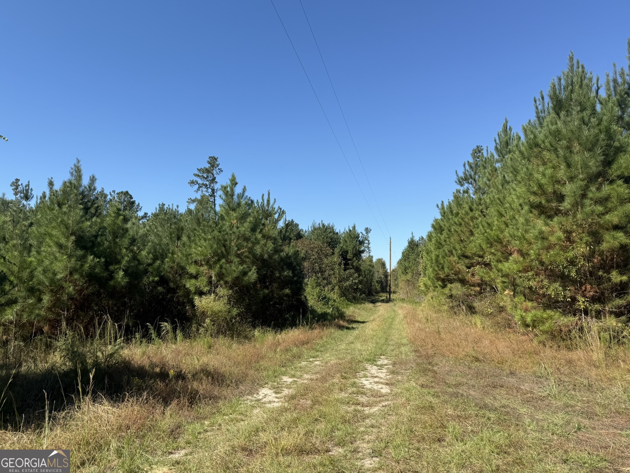 009 Mt Zion Road Property Photo 12