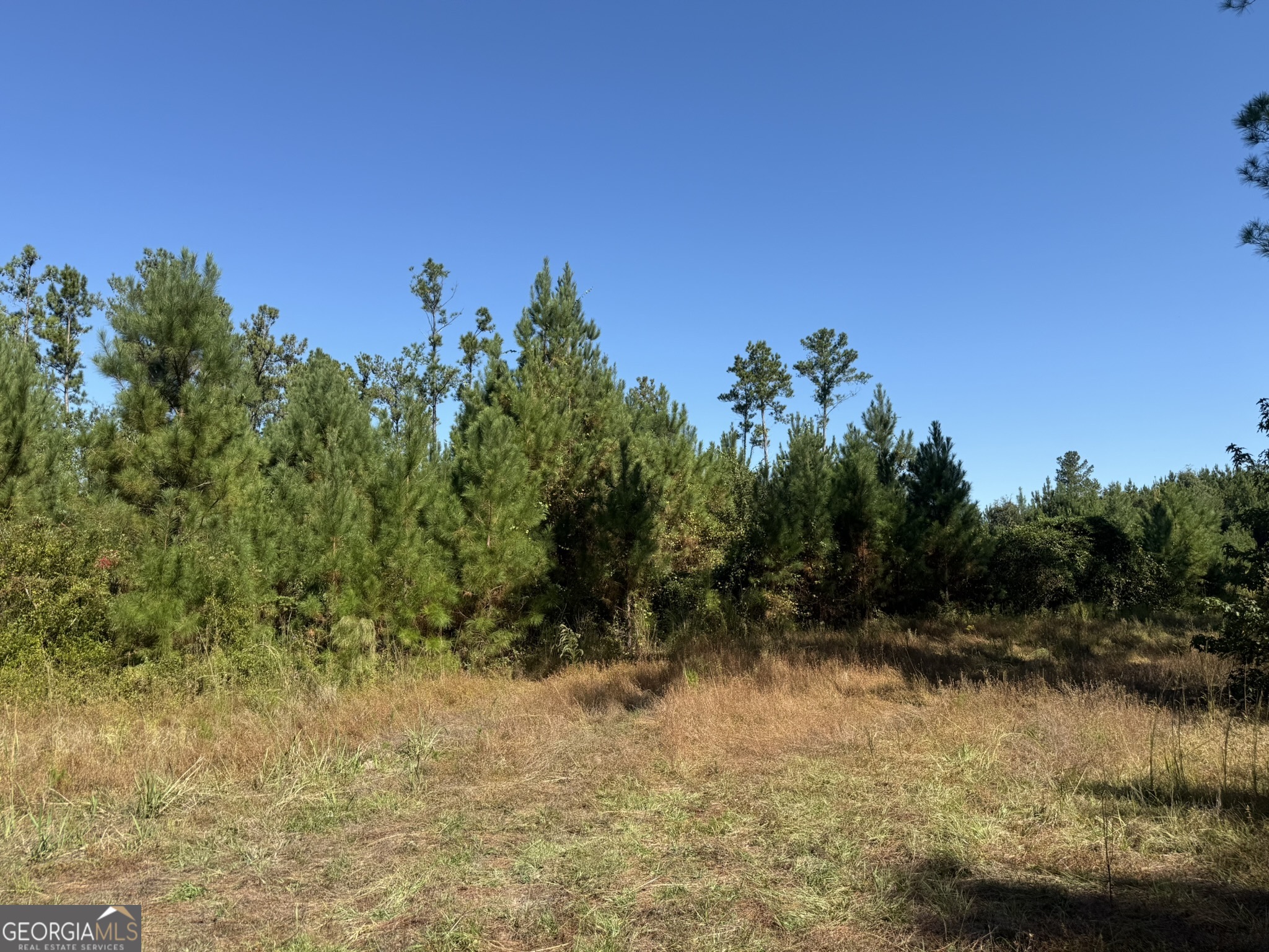 009 Mt Zion Road Property Photo 13