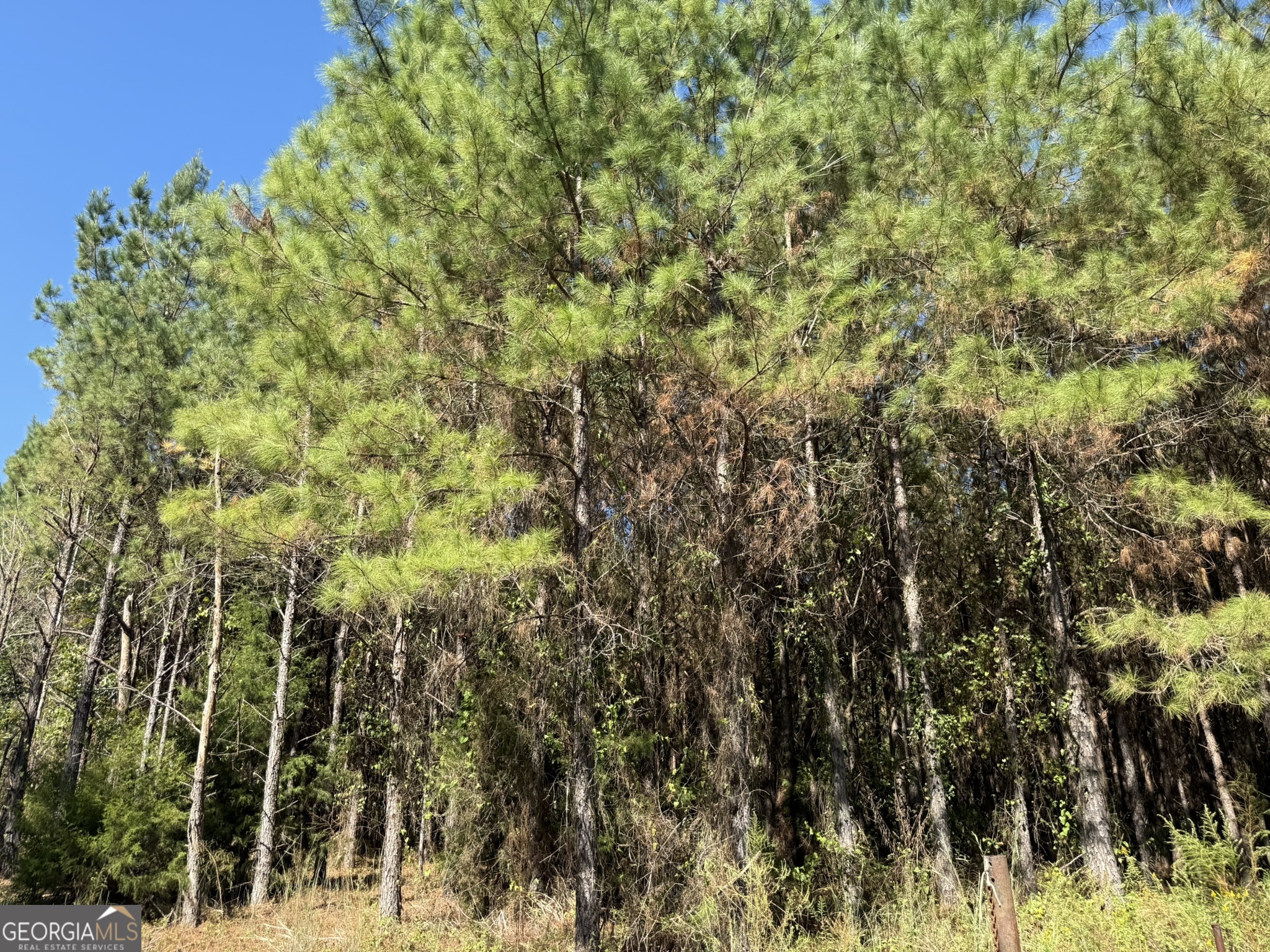 009 Mt Zion Road Property Photo 14