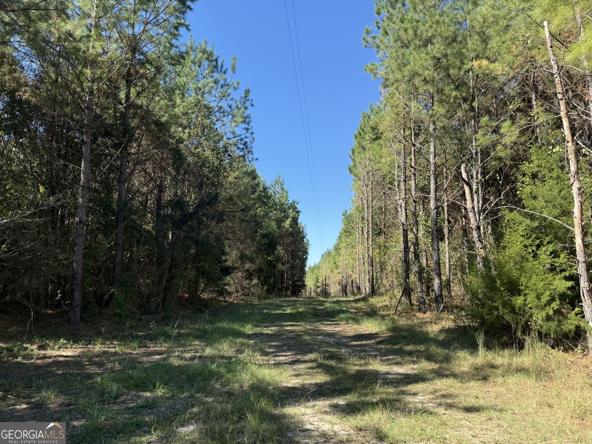 009 Mt Zion Road Property Photo 15