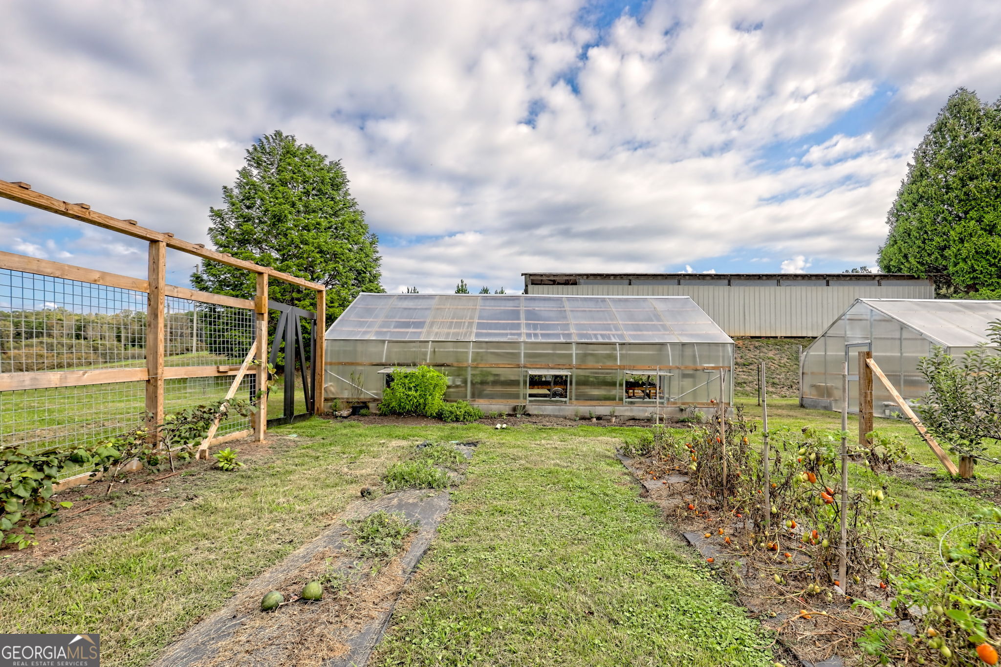 3147 Old Hwy 64w Property Photo 62