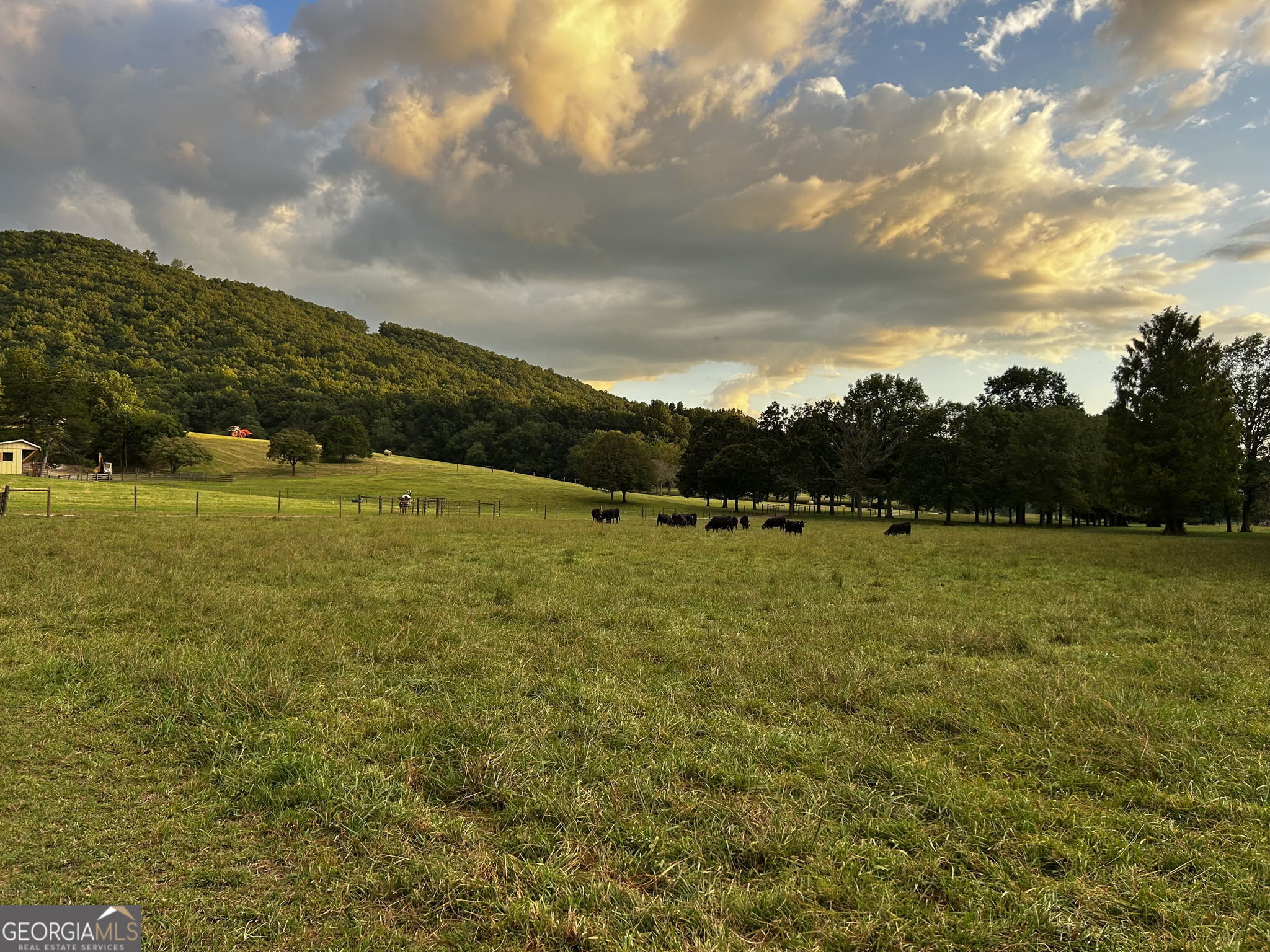 3147 Old Hwy 64w Property Photo 100