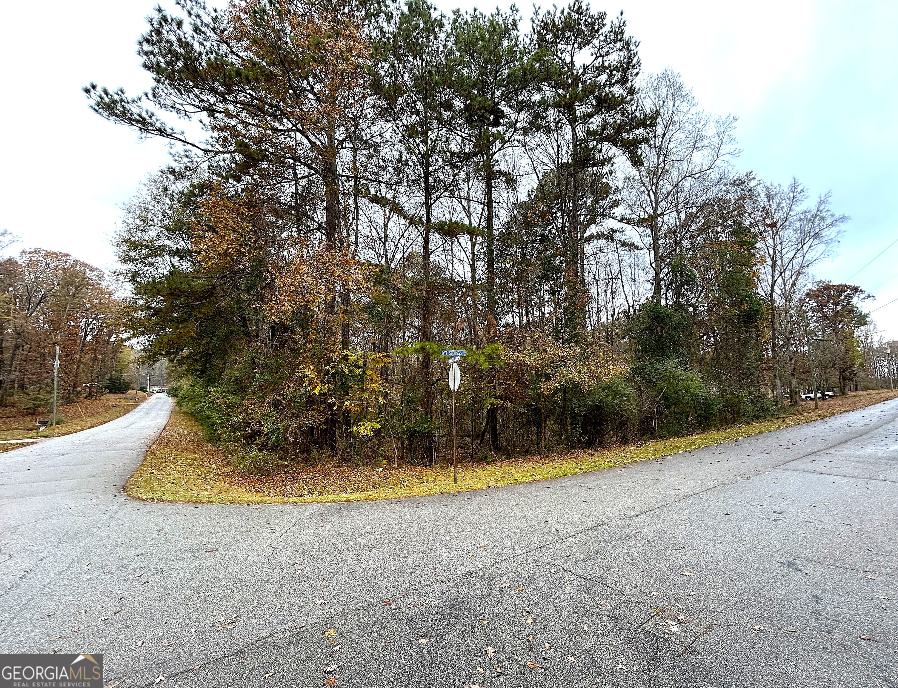 101 Ivy Springs Drive Property Photo 2
