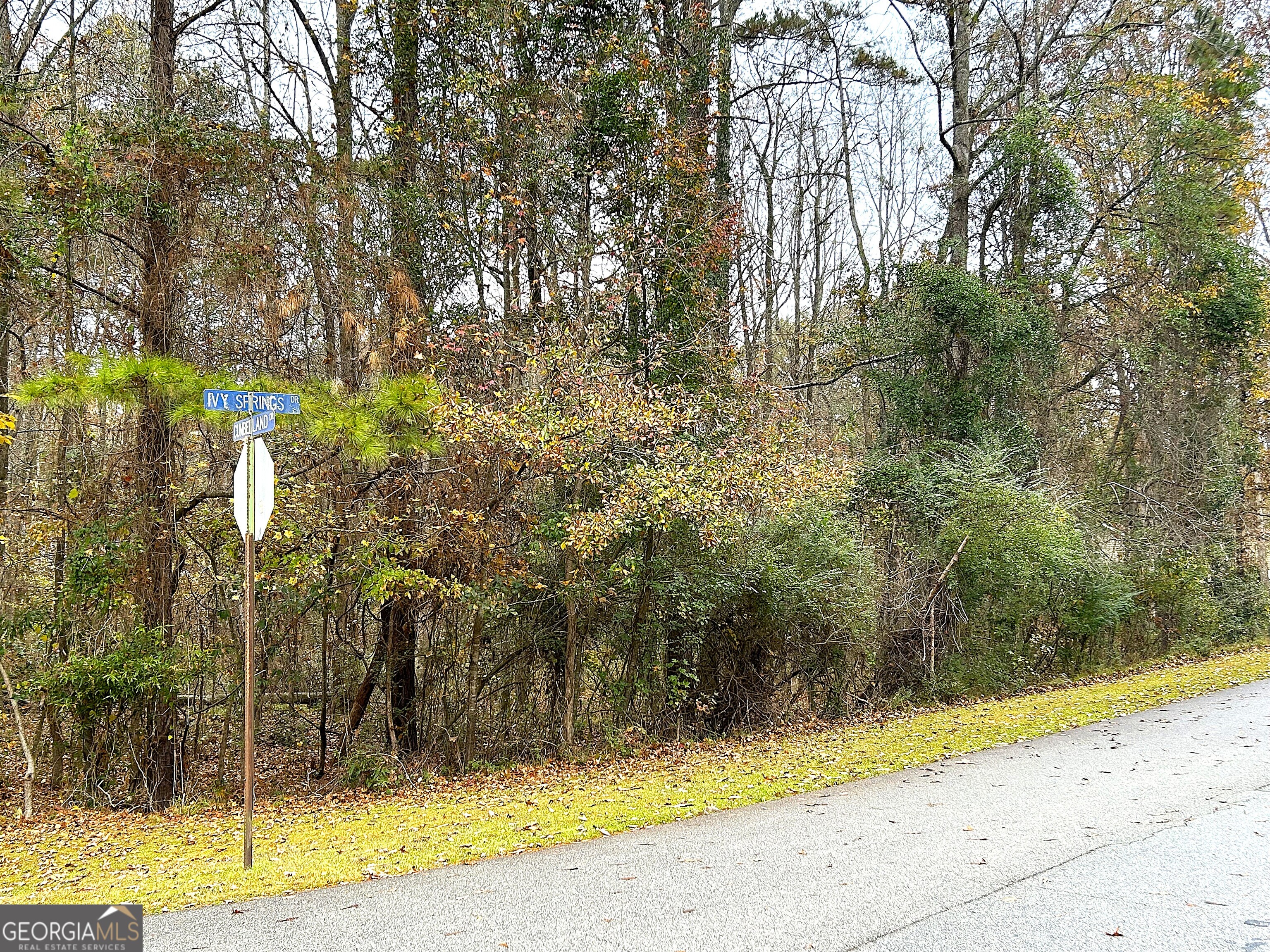 101 Ivy Springs Drive Property Photo 3
