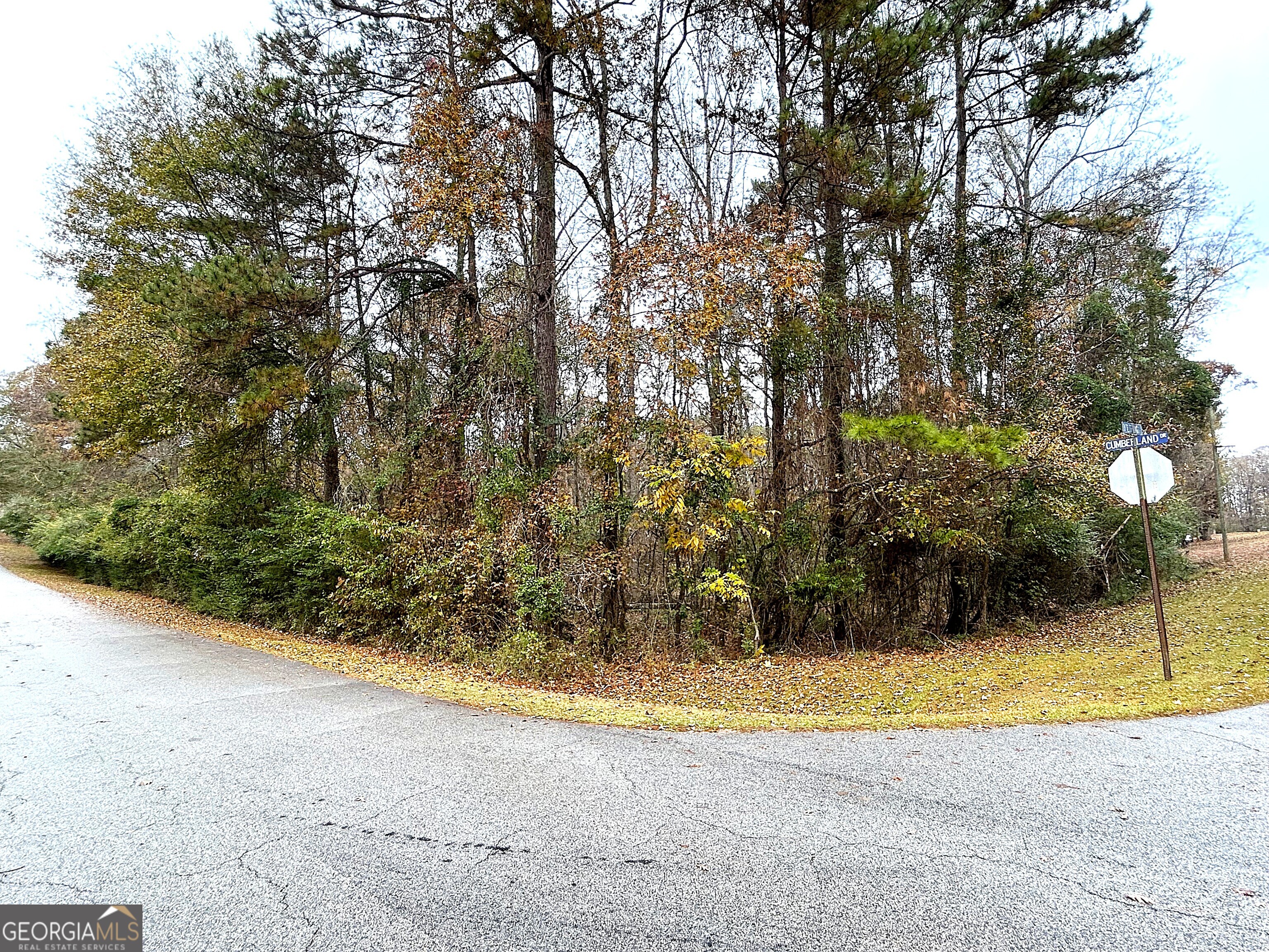 101 Ivy Springs Drive Property Photo 4
