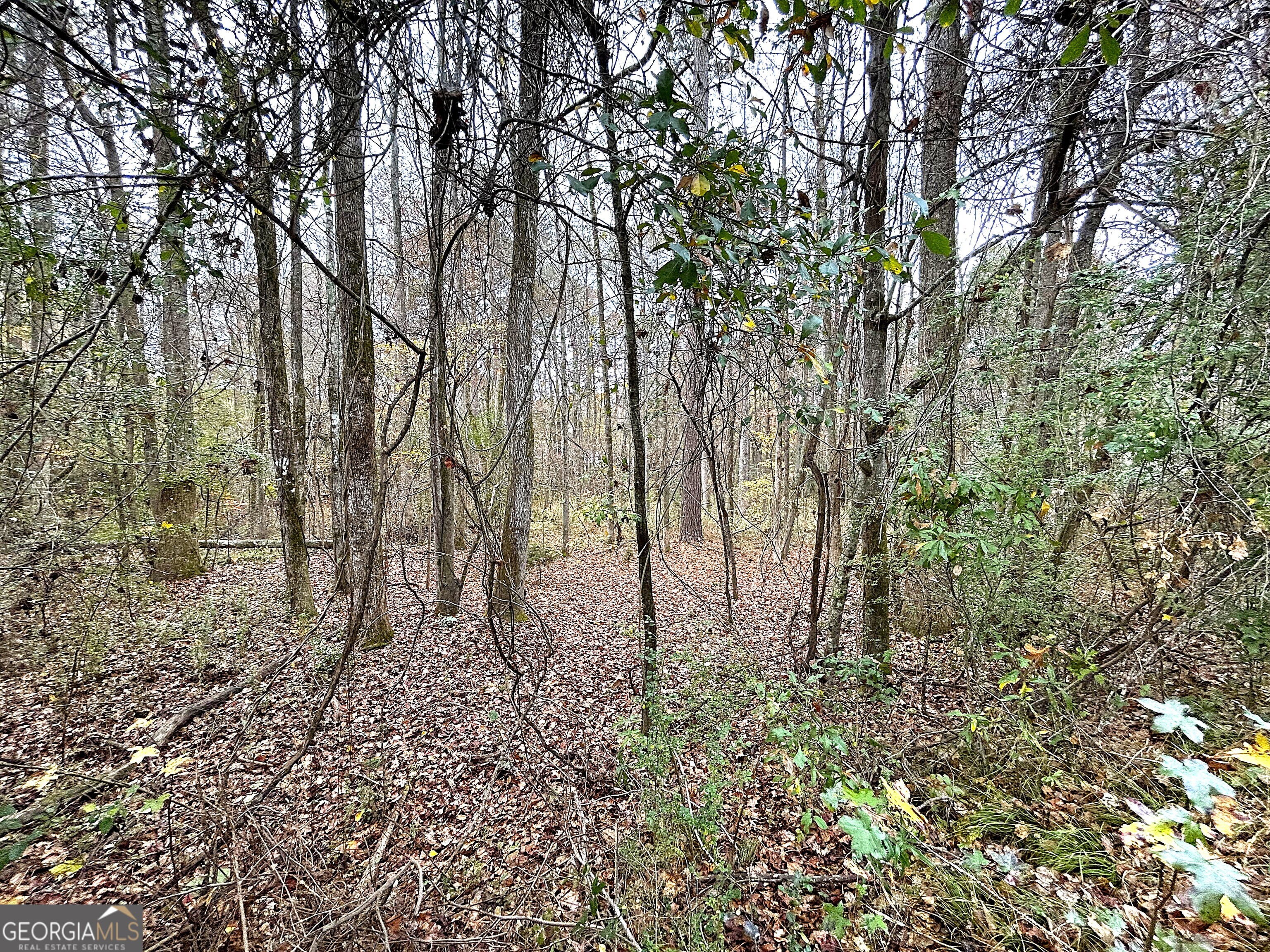 101 Ivy Springs Drive Property Photo 6
