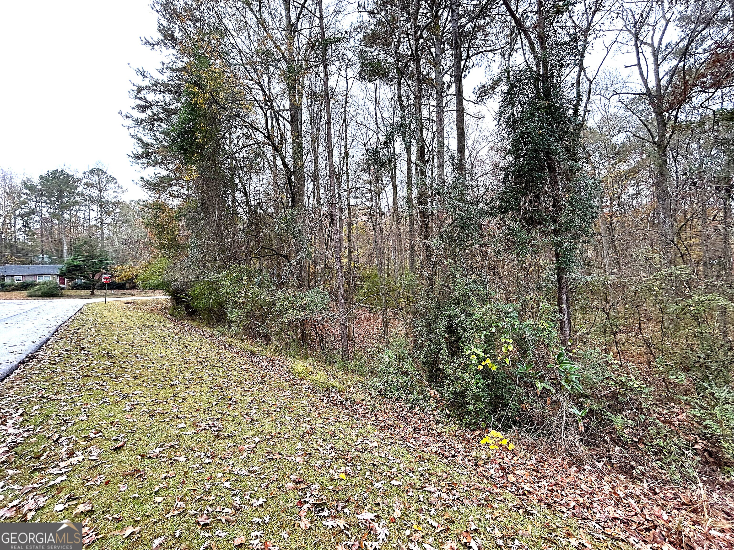 101 Ivy Springs Drive Property Photo 7