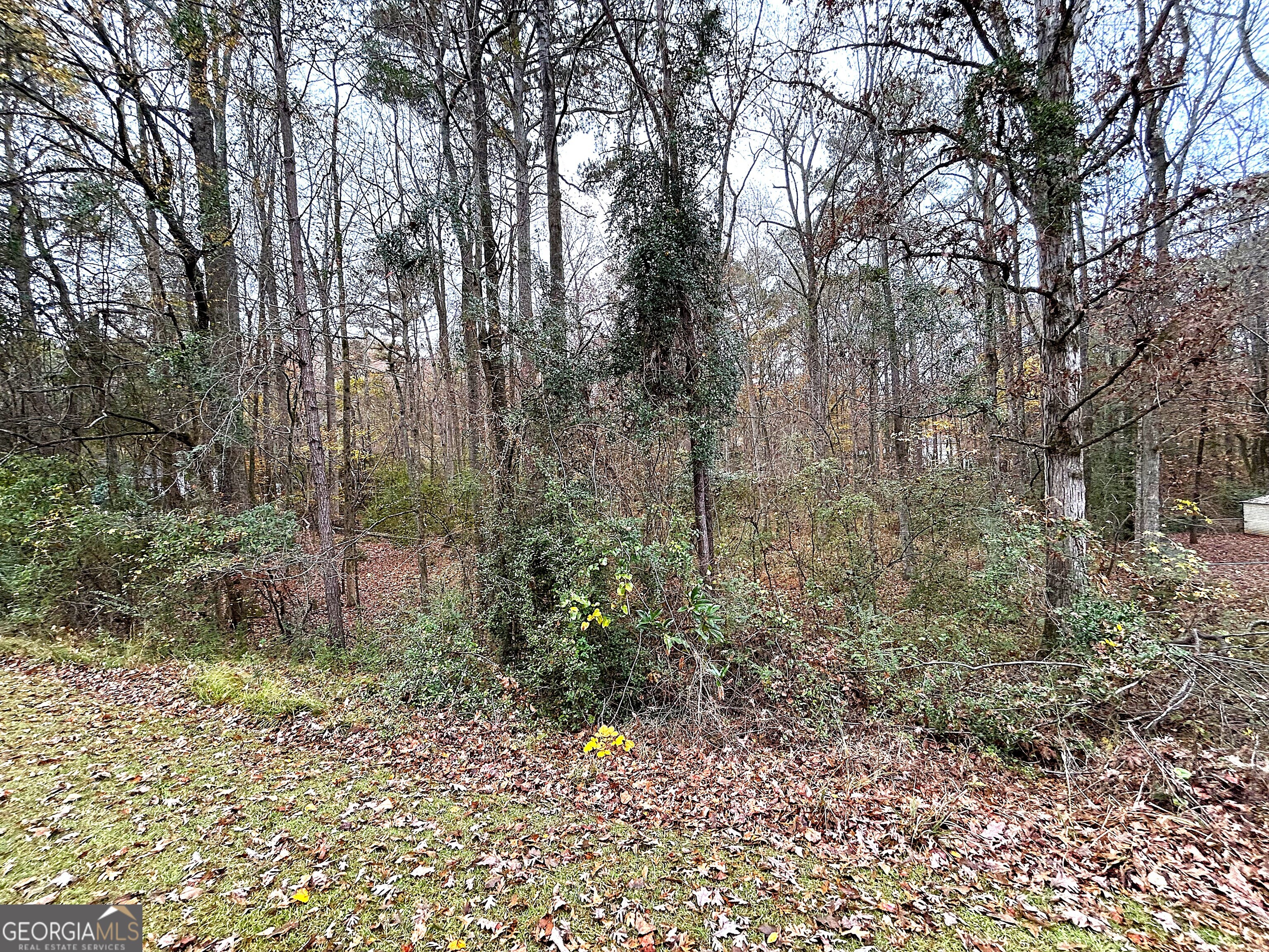 101 Ivy Springs Drive Property Photo 8