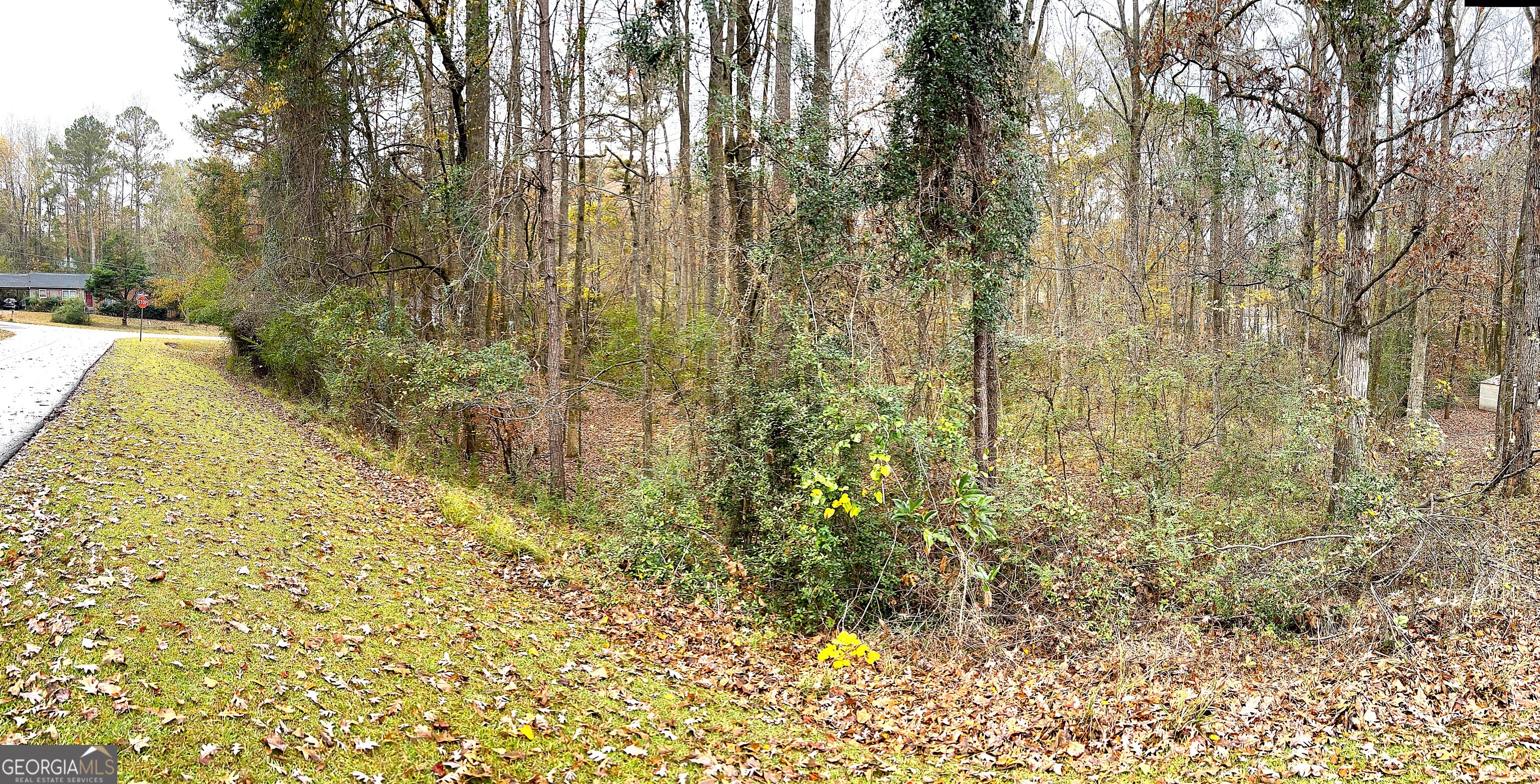 101 Ivy Springs Drive Property Photo 9