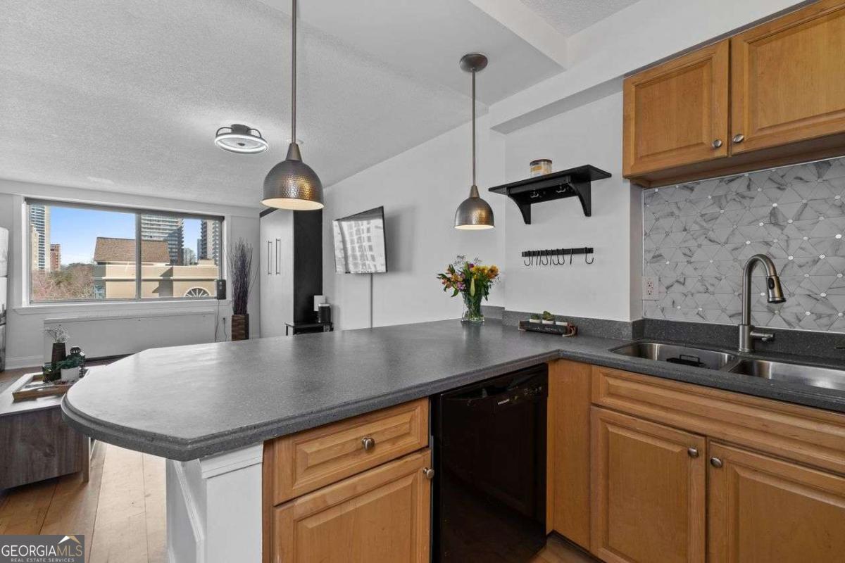 2479 Peachtree Road Ne # 912 Property Photo 14