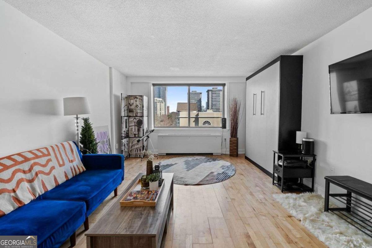 2479 Peachtree Road Ne # 912 Property Photo 23