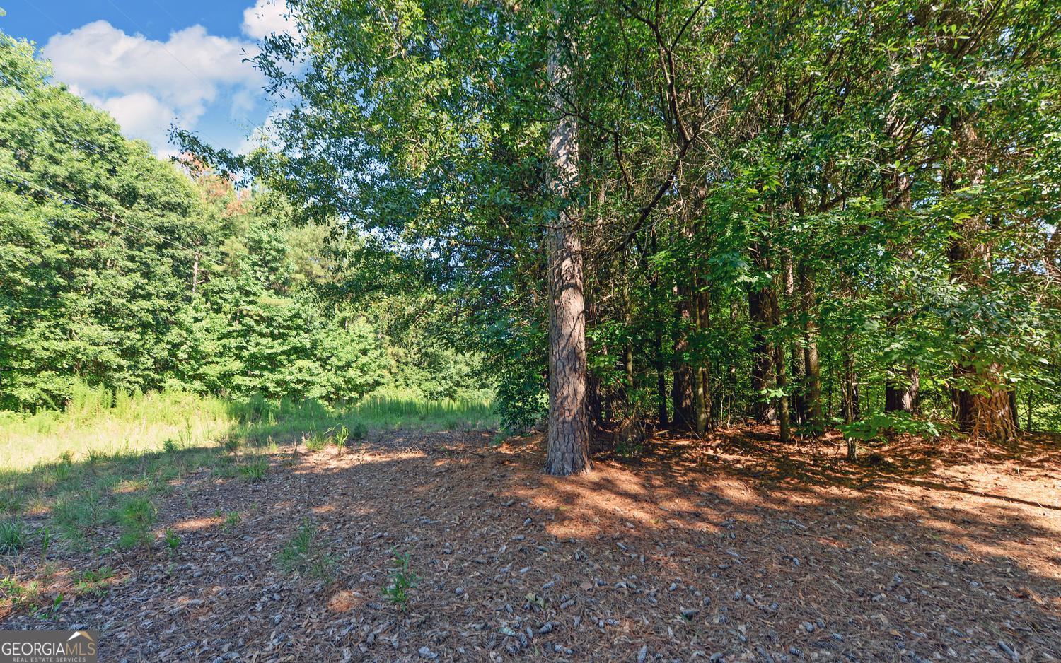 0 Hwy 17 Property Photo 7