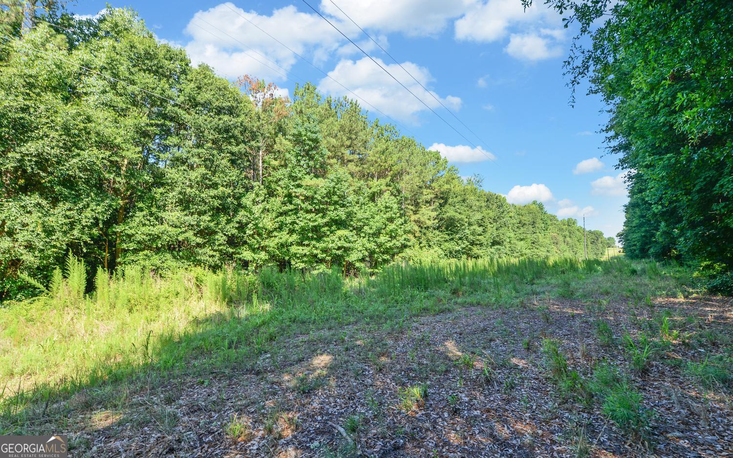 0 Hwy 17 Property Photo 19
