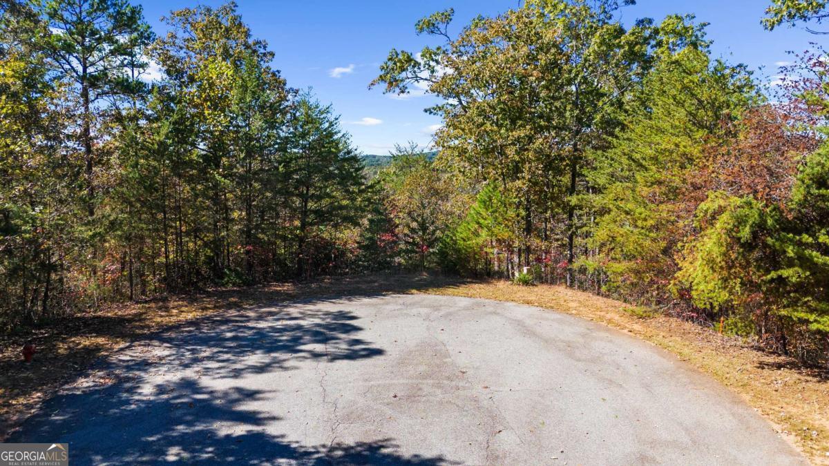 1047 Nugget Court Property Photo 2