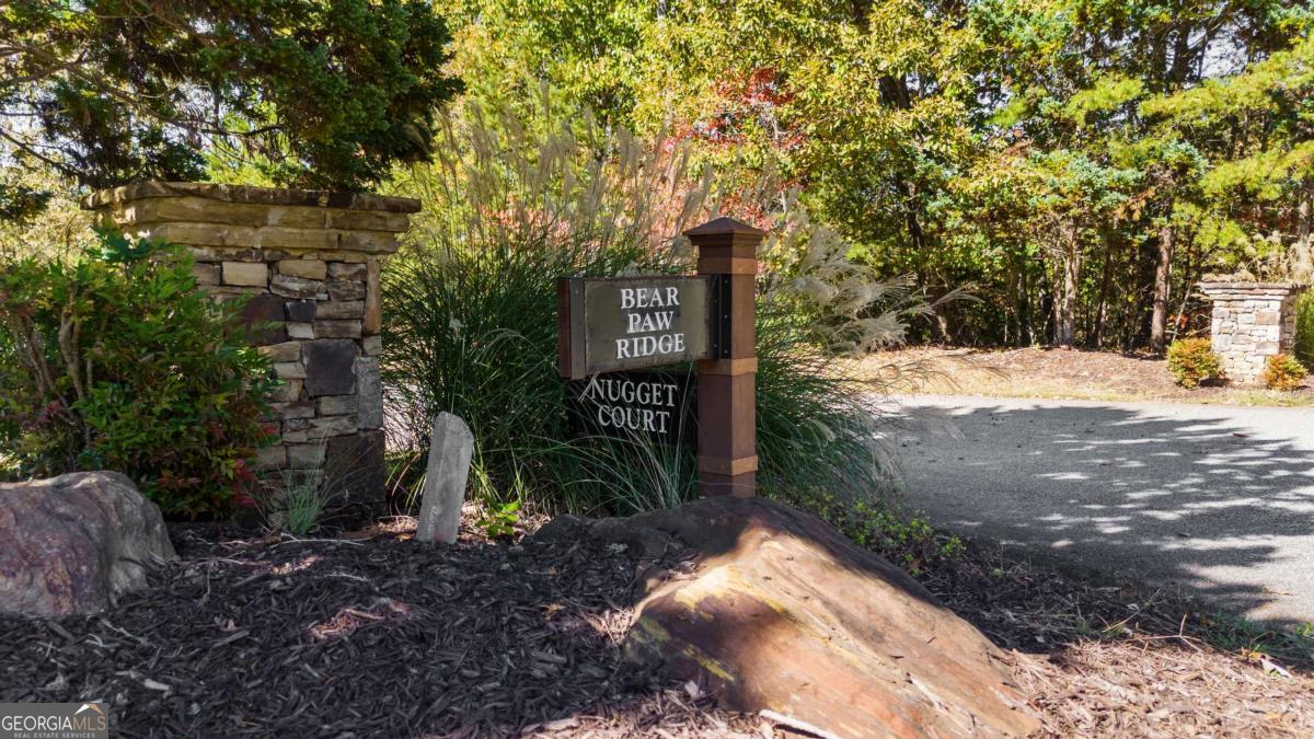 1047 Nugget Court Property Photo 3