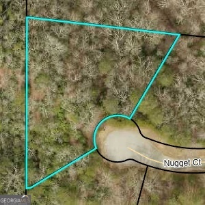 1047 Nugget Court Property Photo 7