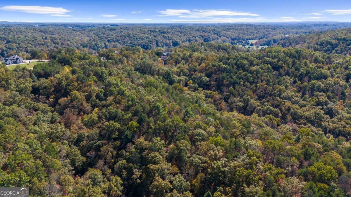 1047 Nugget Court Property Photo 11