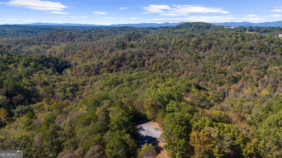 1047 Nugget Court Property Photo 12