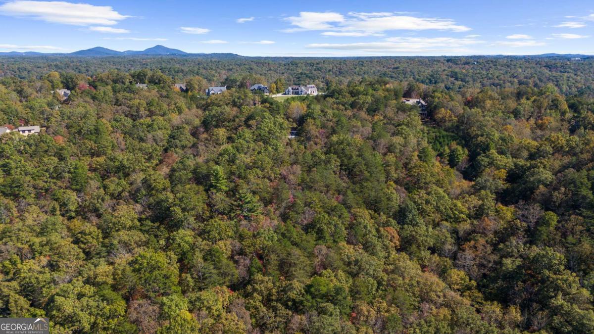 1047 Nugget Court Property Photo 14