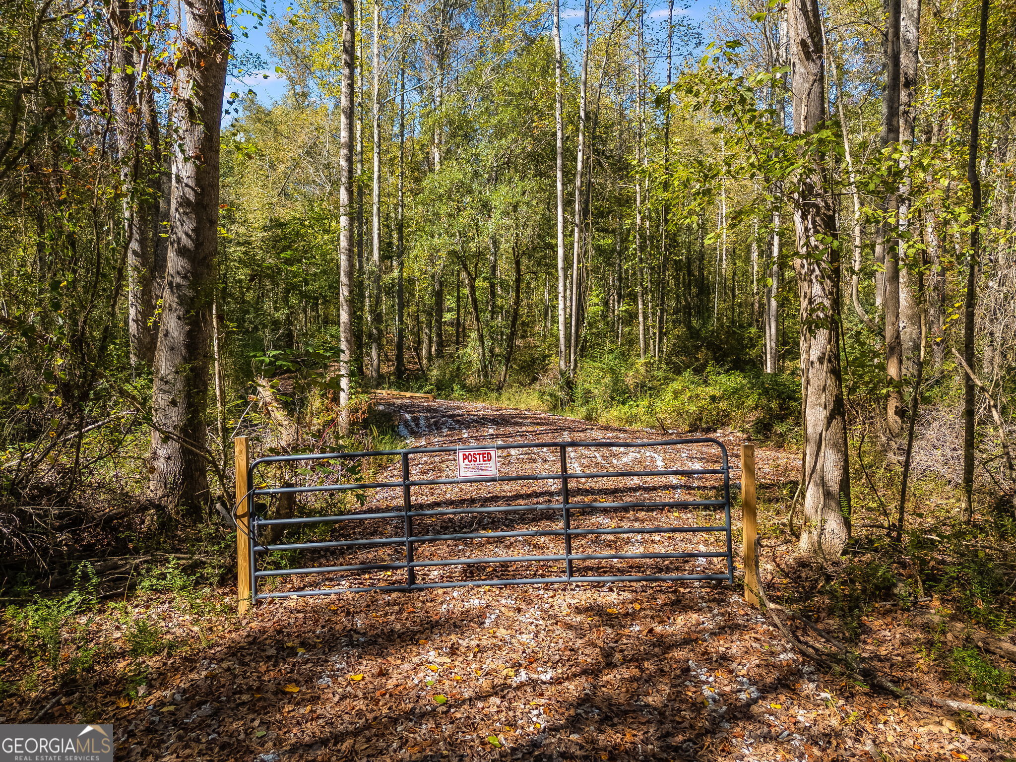 0 Hog Liver Road Property Photo 3
