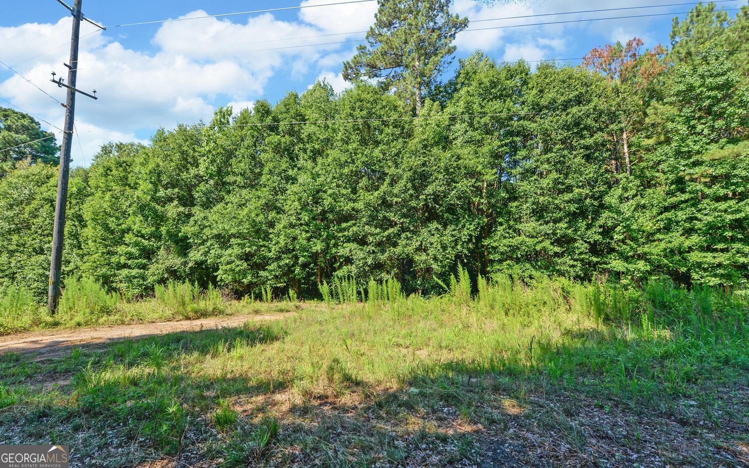 0 Hwy 17 Property Photo 10
