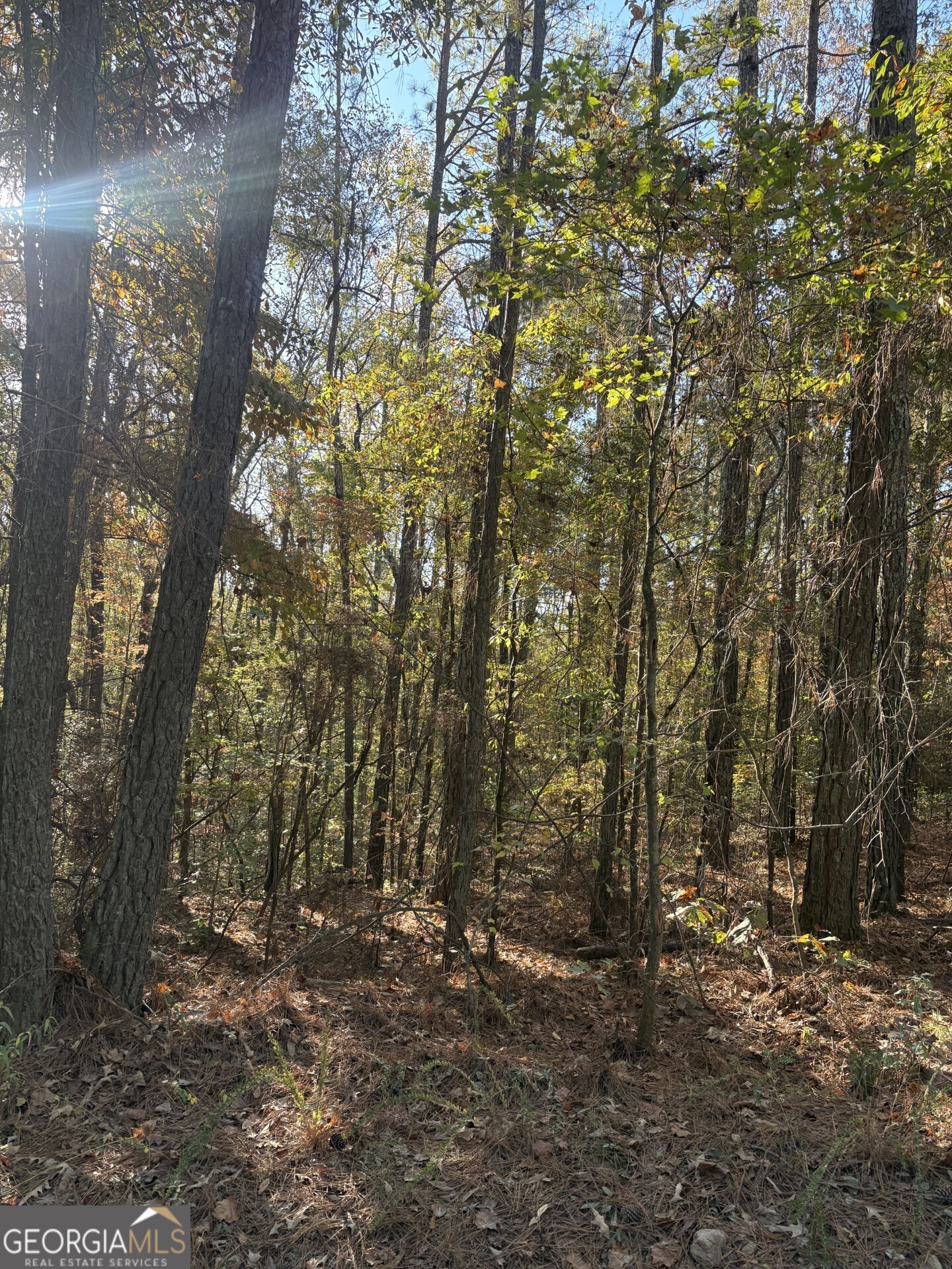 8839 Watkins Mill Road Property Photo 3