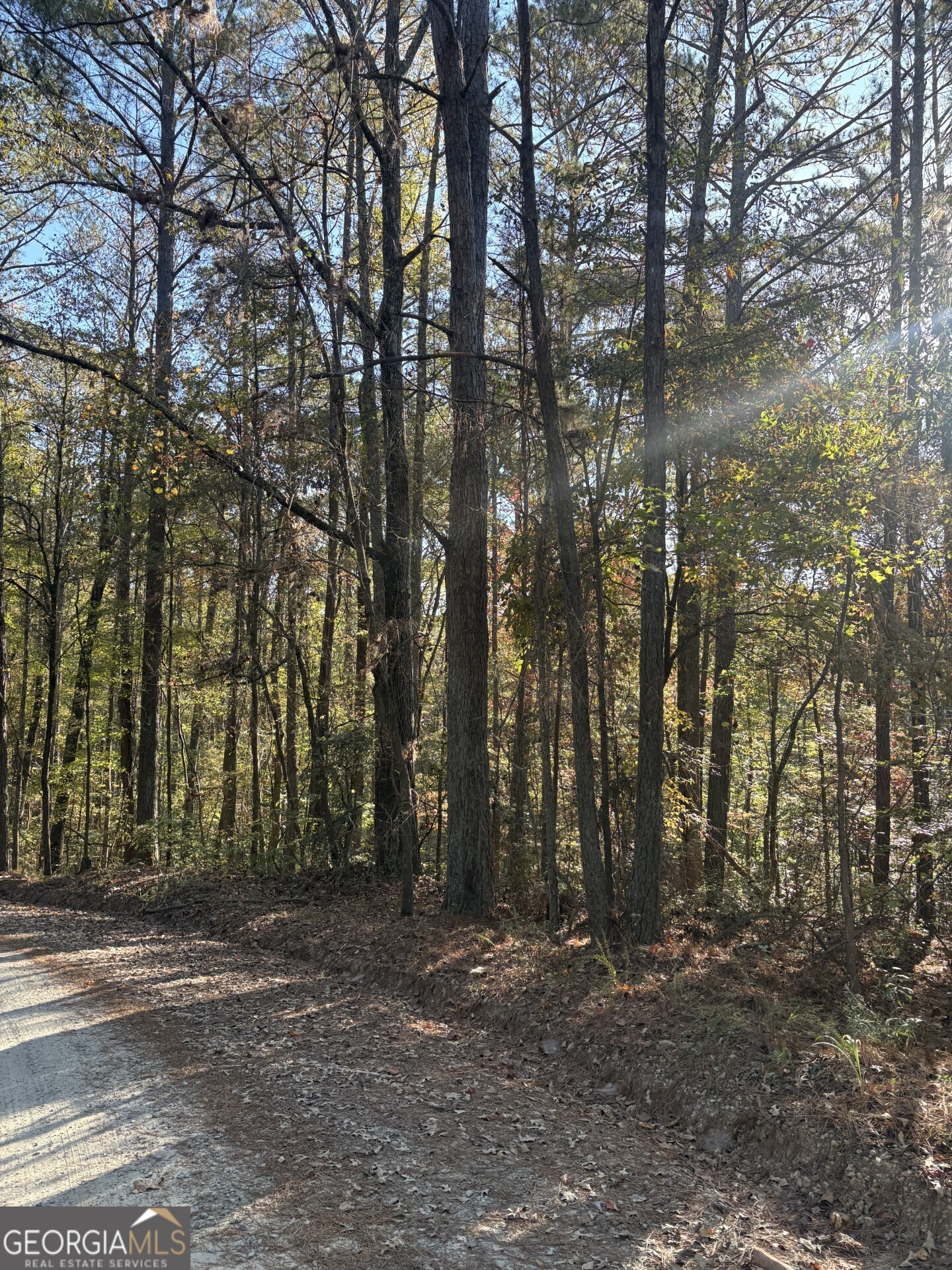 8839 Watkins Mill Road Property Photo 5