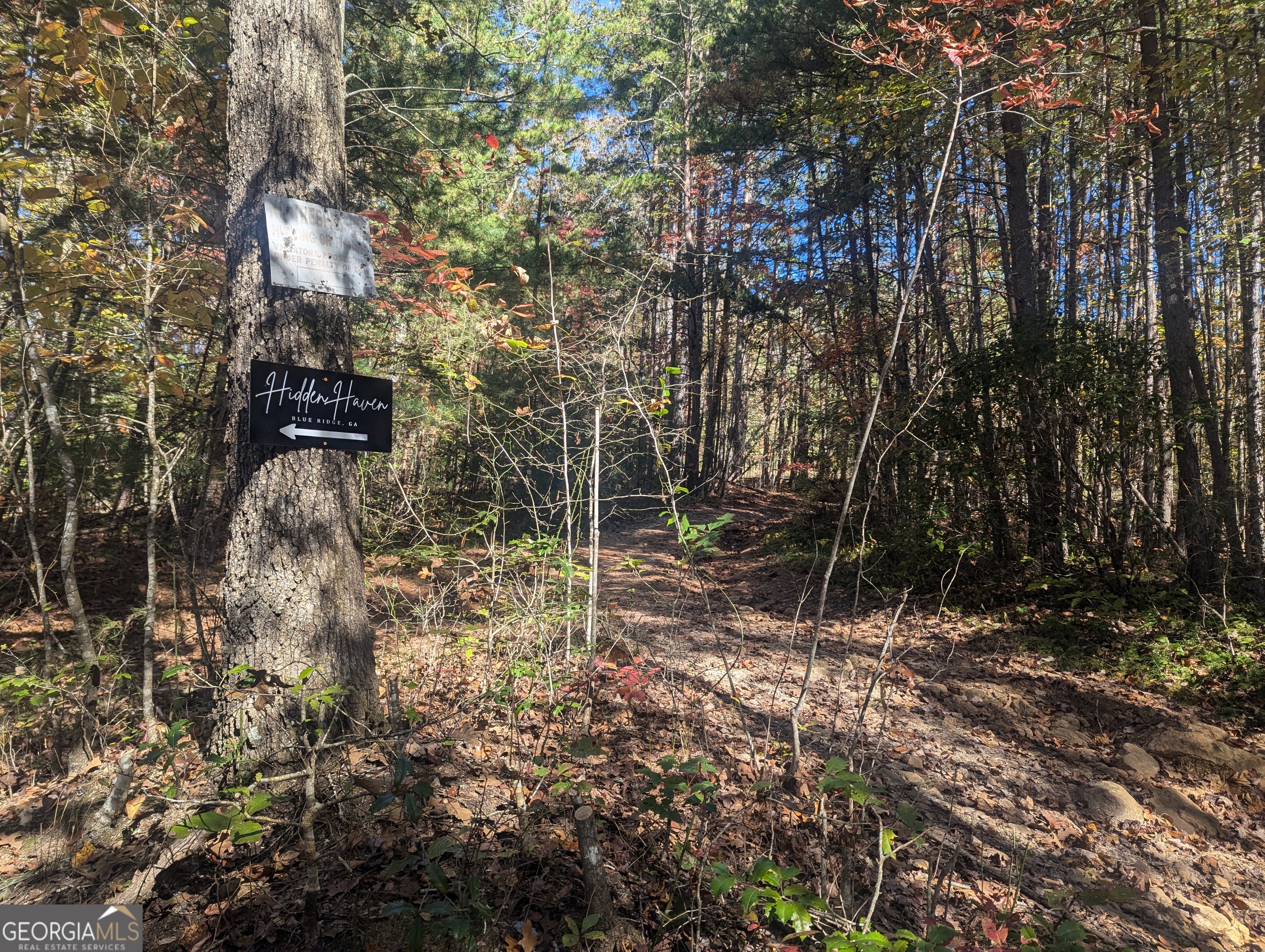 26.89 Ac Shadow Lane Property Photo 1
