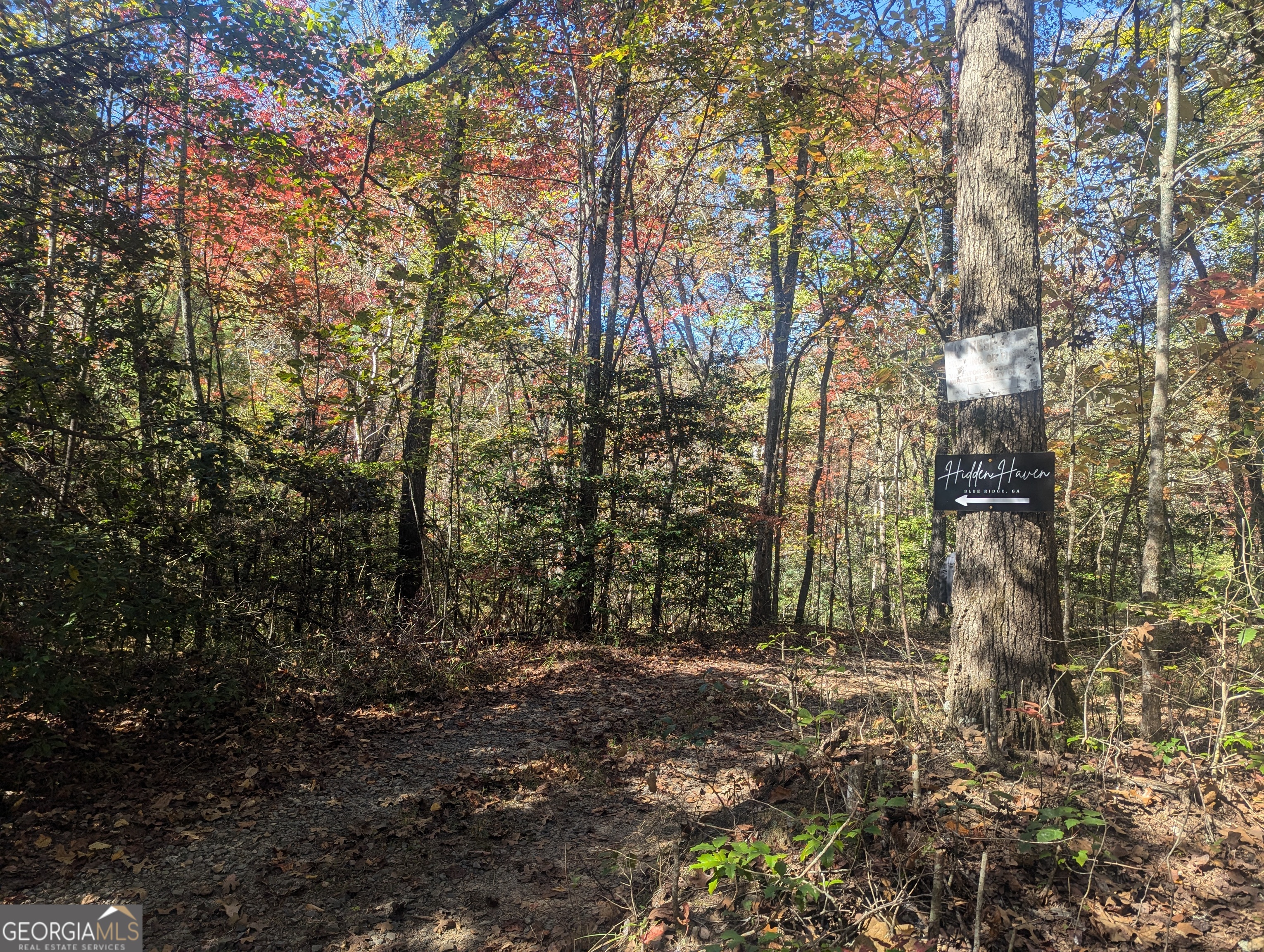 26.89 Ac Shadow Lane Property Photo 2