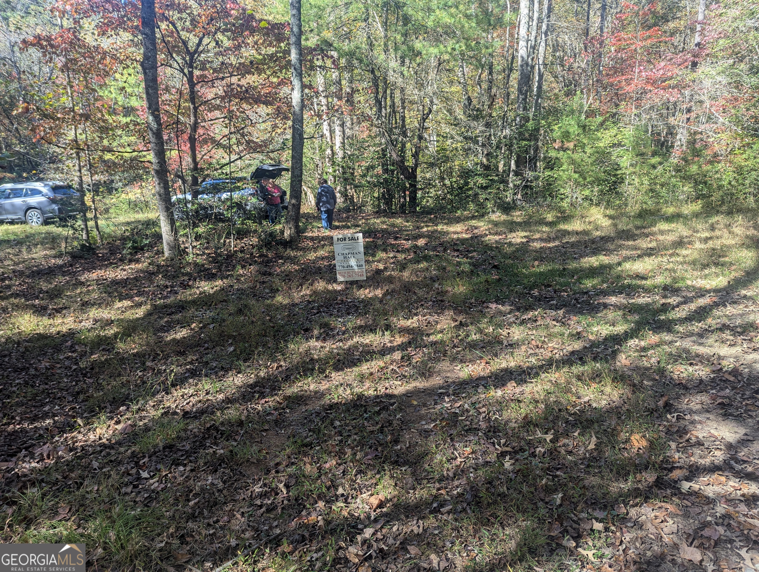 26.89 Ac Shadow Lane Property Photo 3