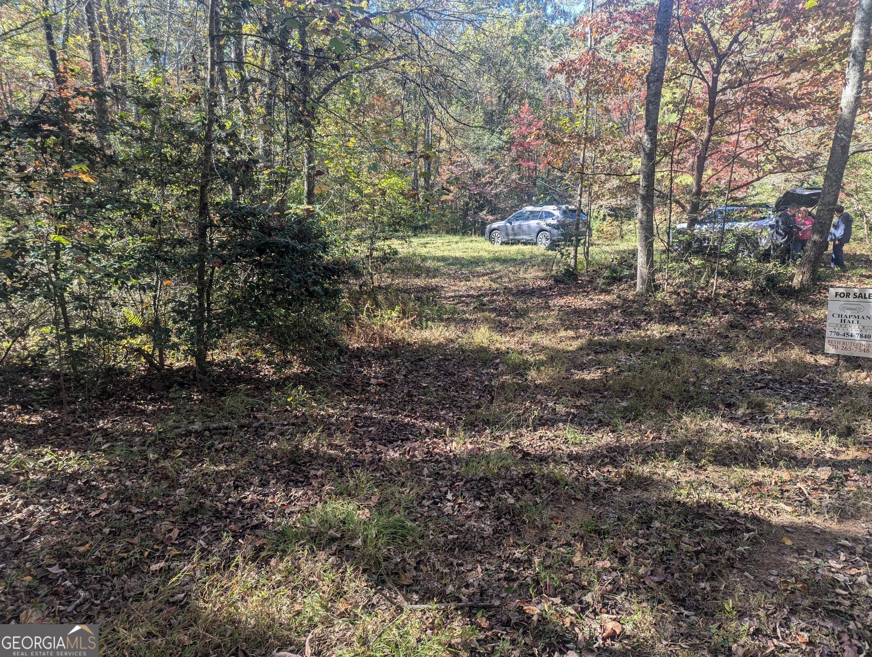 26.89 Ac Shadow Lane Property Photo 4