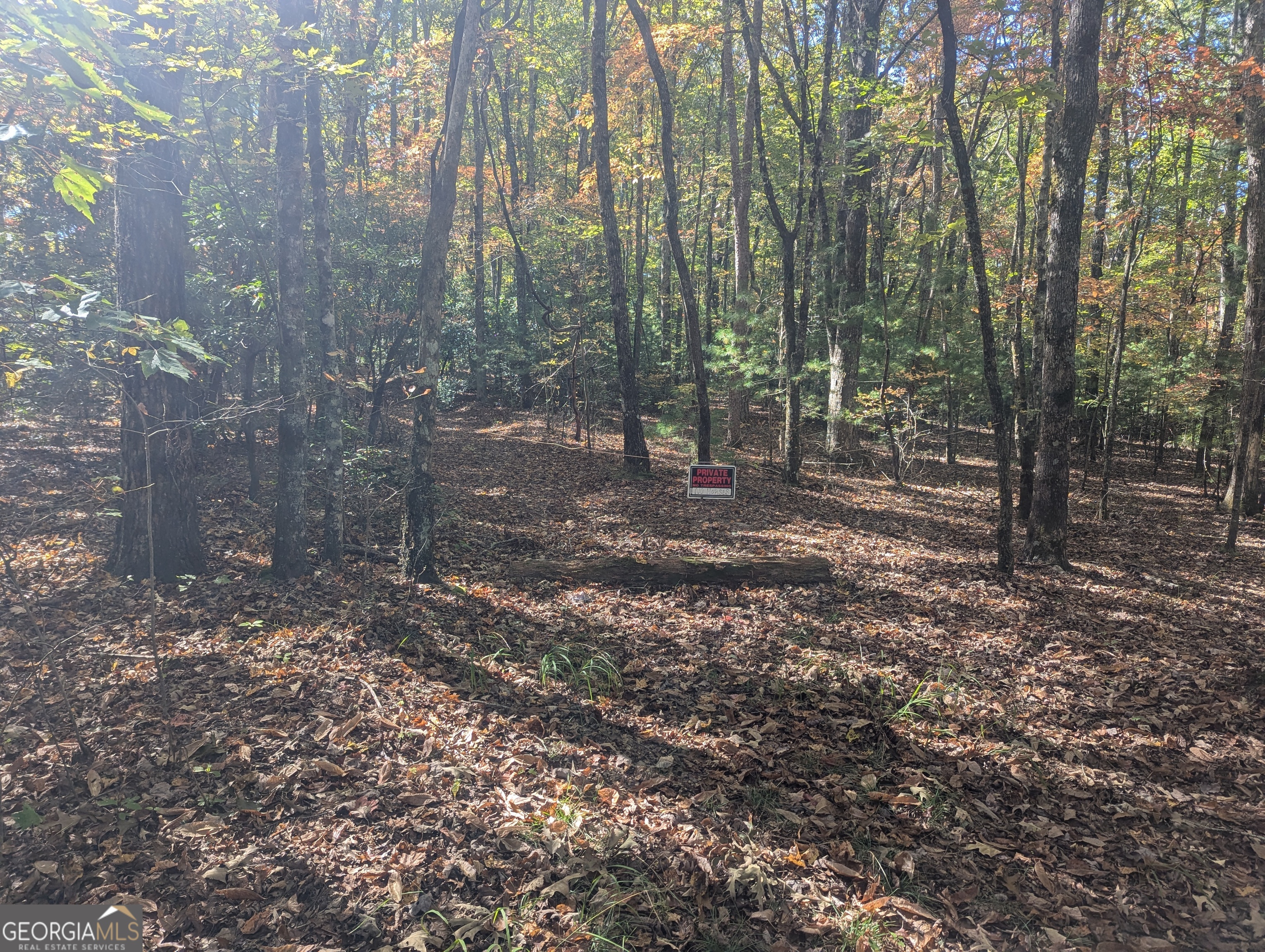 26.89 Ac Shadow Lane Property Photo 6