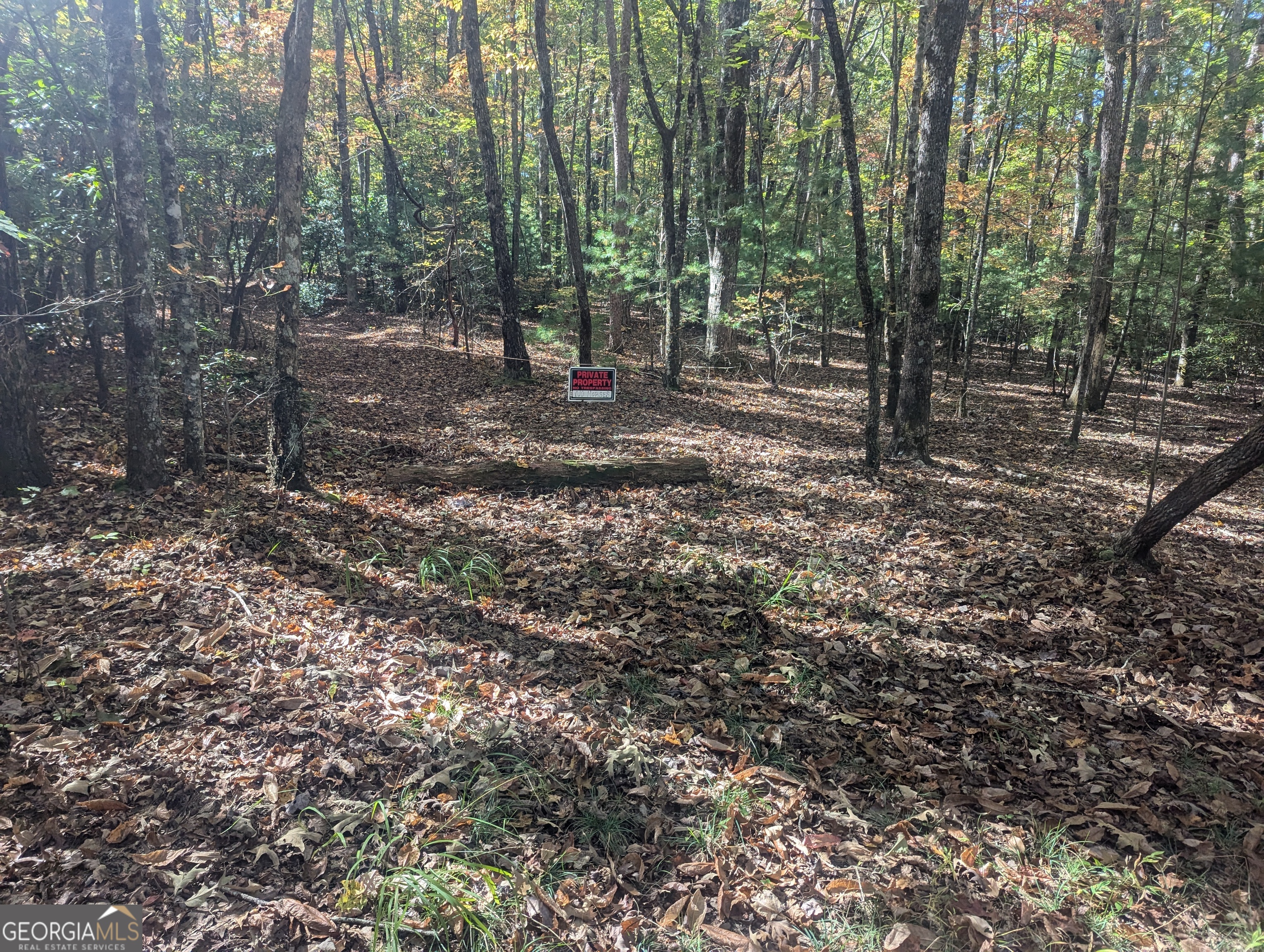 26.89 Ac Shadow Lane Property Photo 7