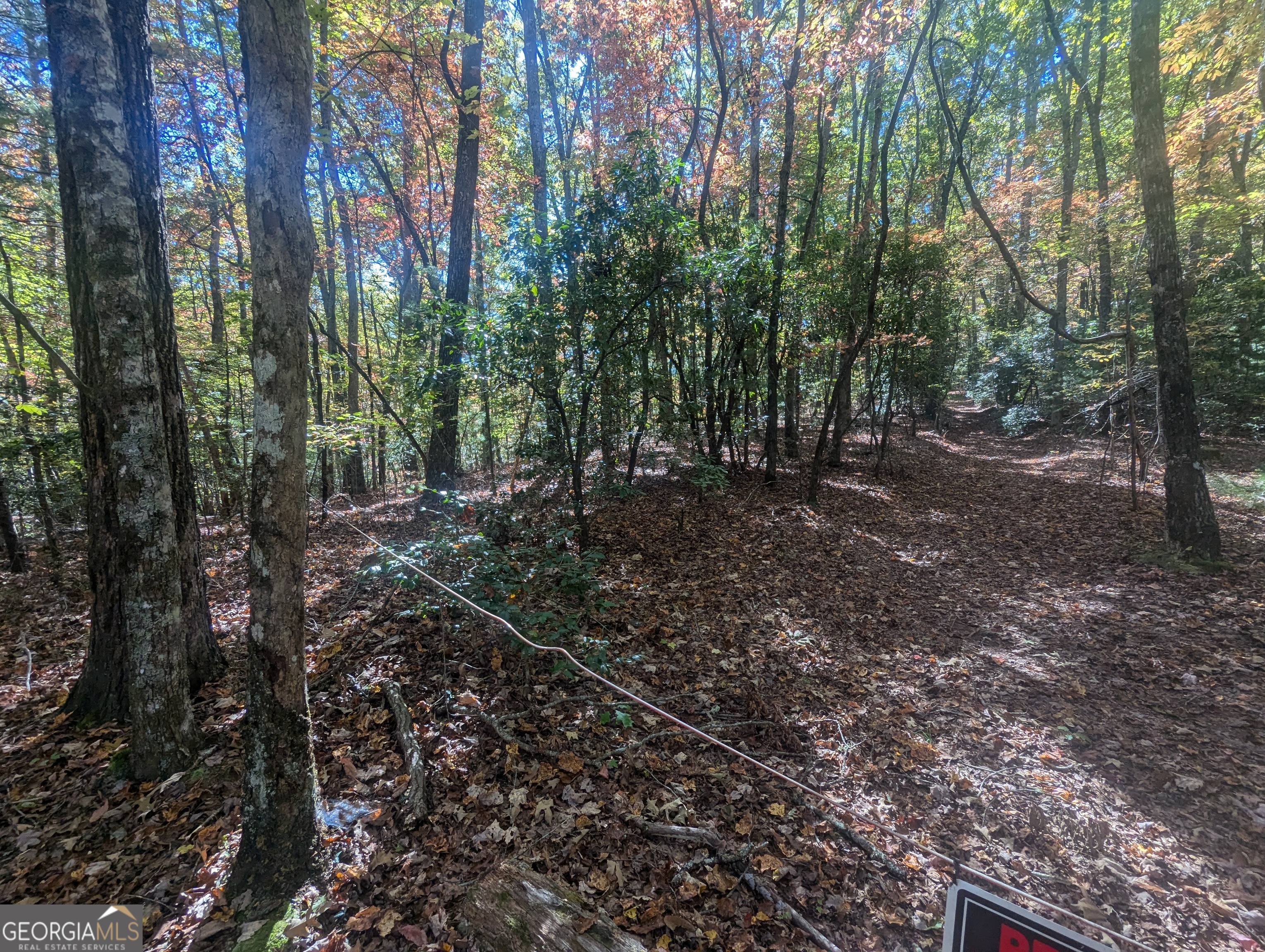 26.89 Ac Shadow Lane Property Photo 9