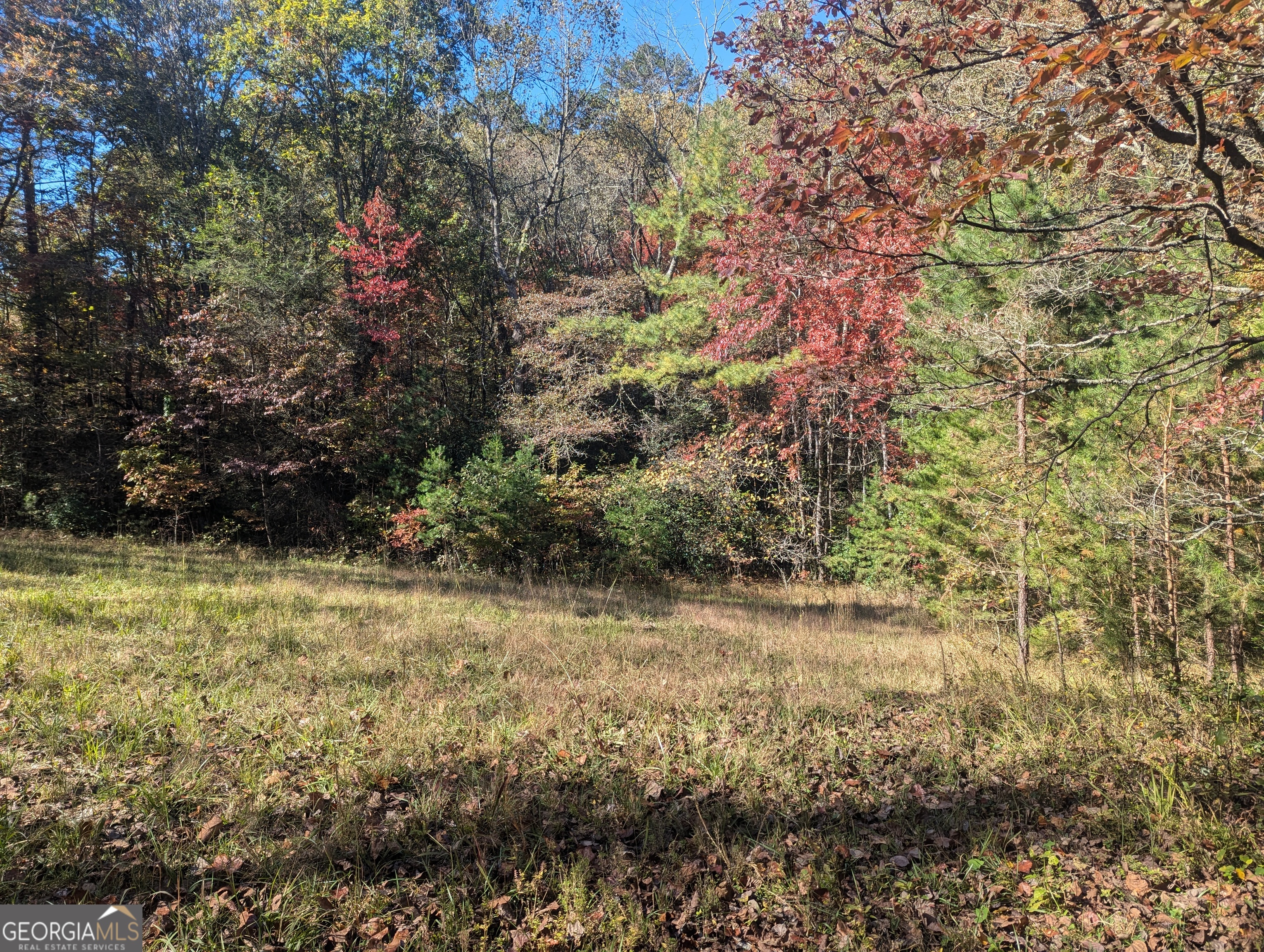 26.89 Ac Shadow Lane Property Photo 12