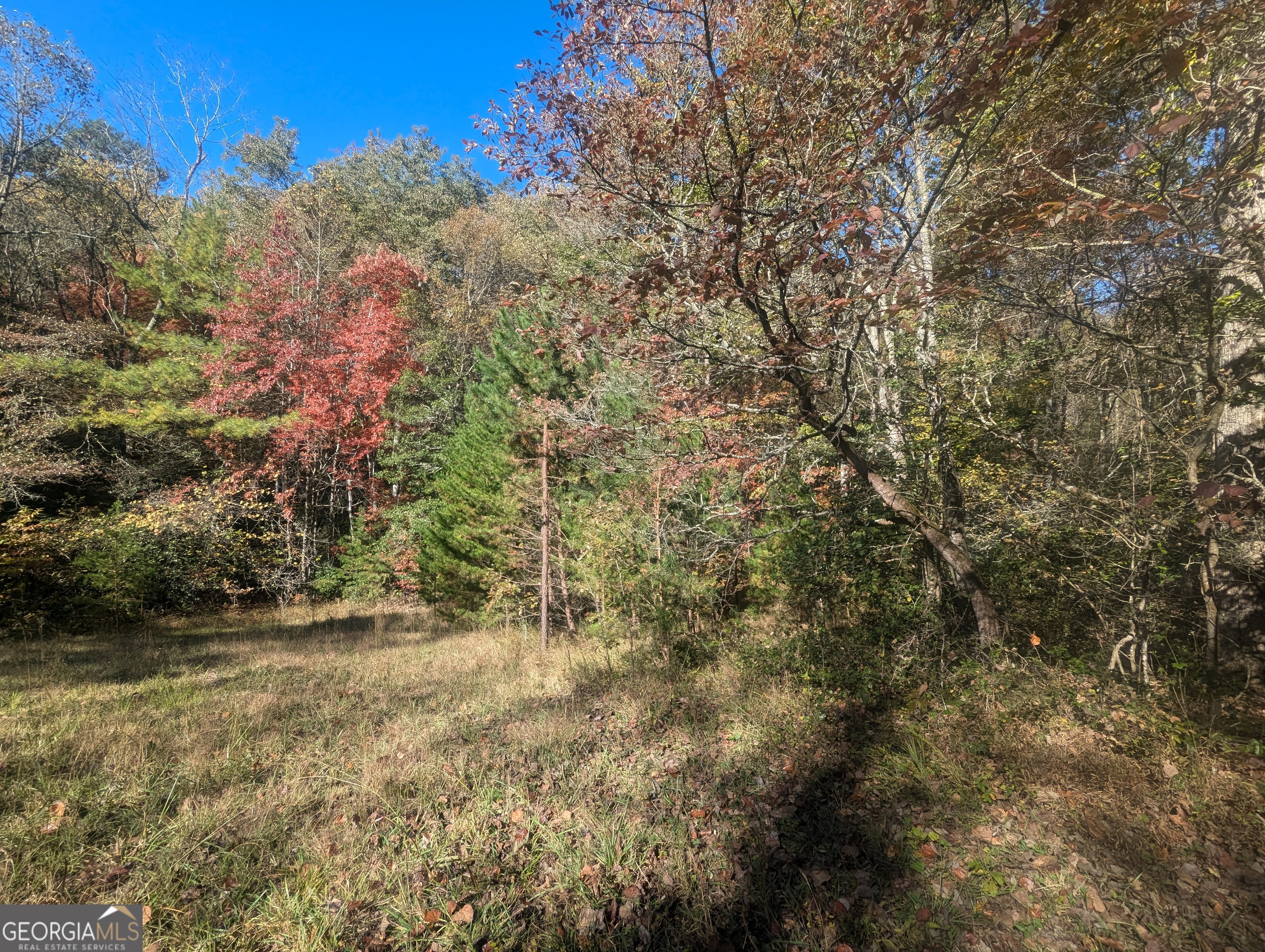 26.89 Ac Shadow Lane Property Photo 13