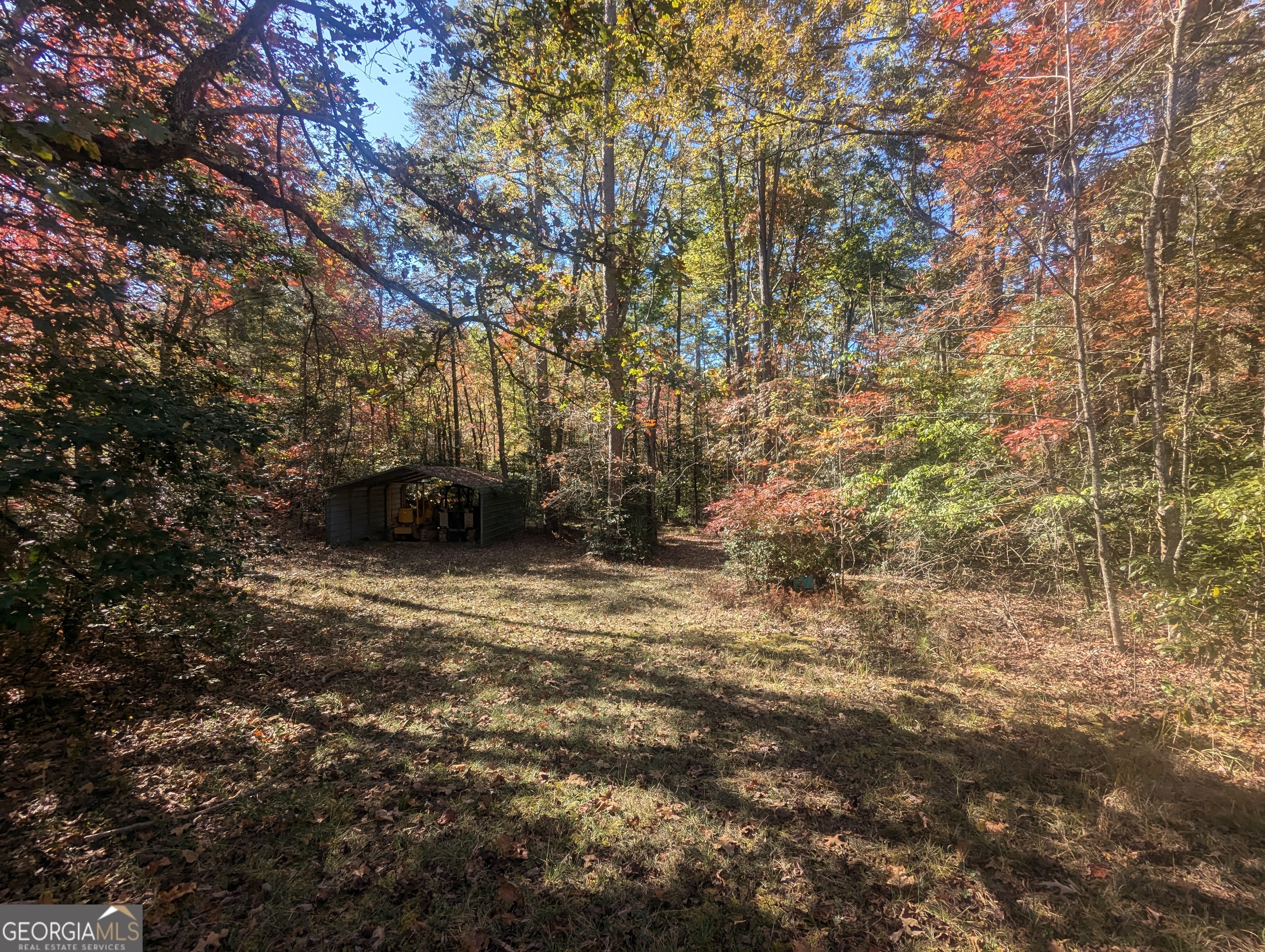 26.89 Ac Shadow Lane Property Photo 14