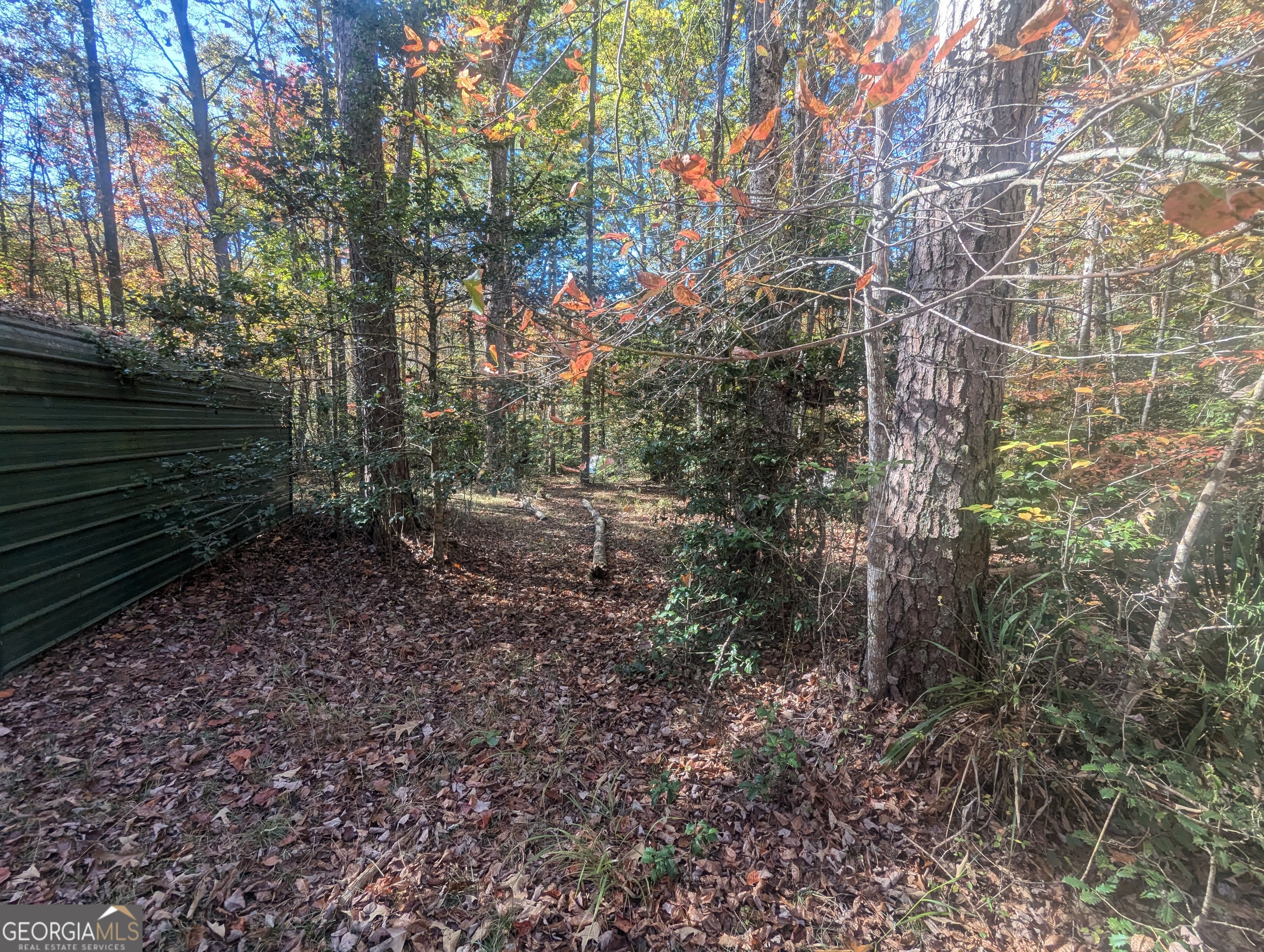 26.89 Ac Shadow Lane Property Photo 16