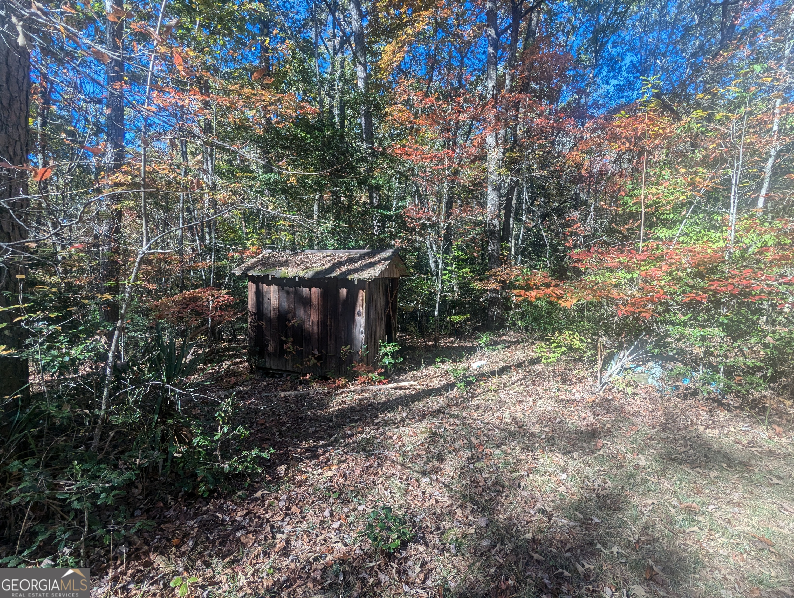 26.89 Ac Shadow Lane Property Photo 17