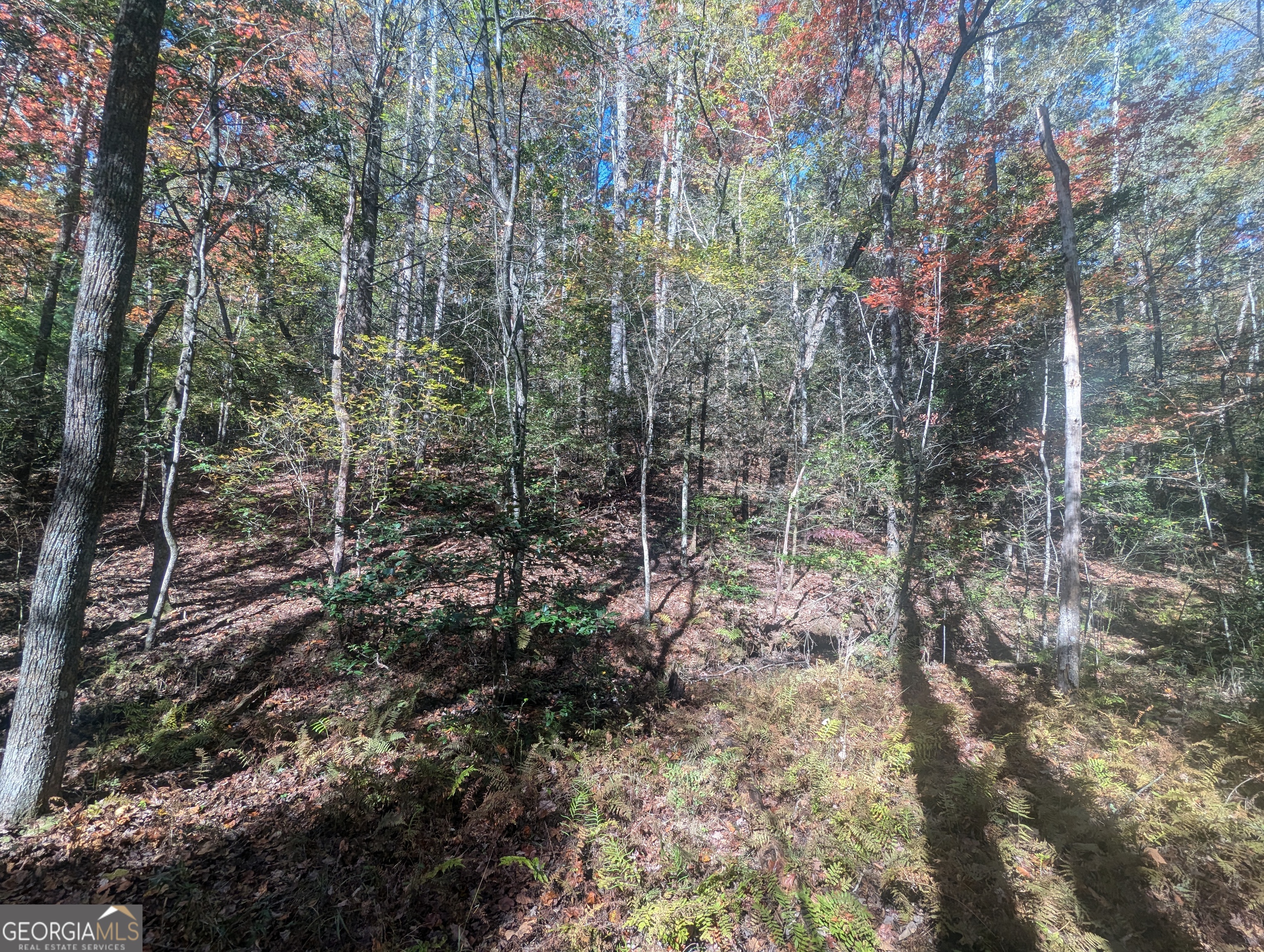 26.89 Ac Shadow Lane Property Photo 18