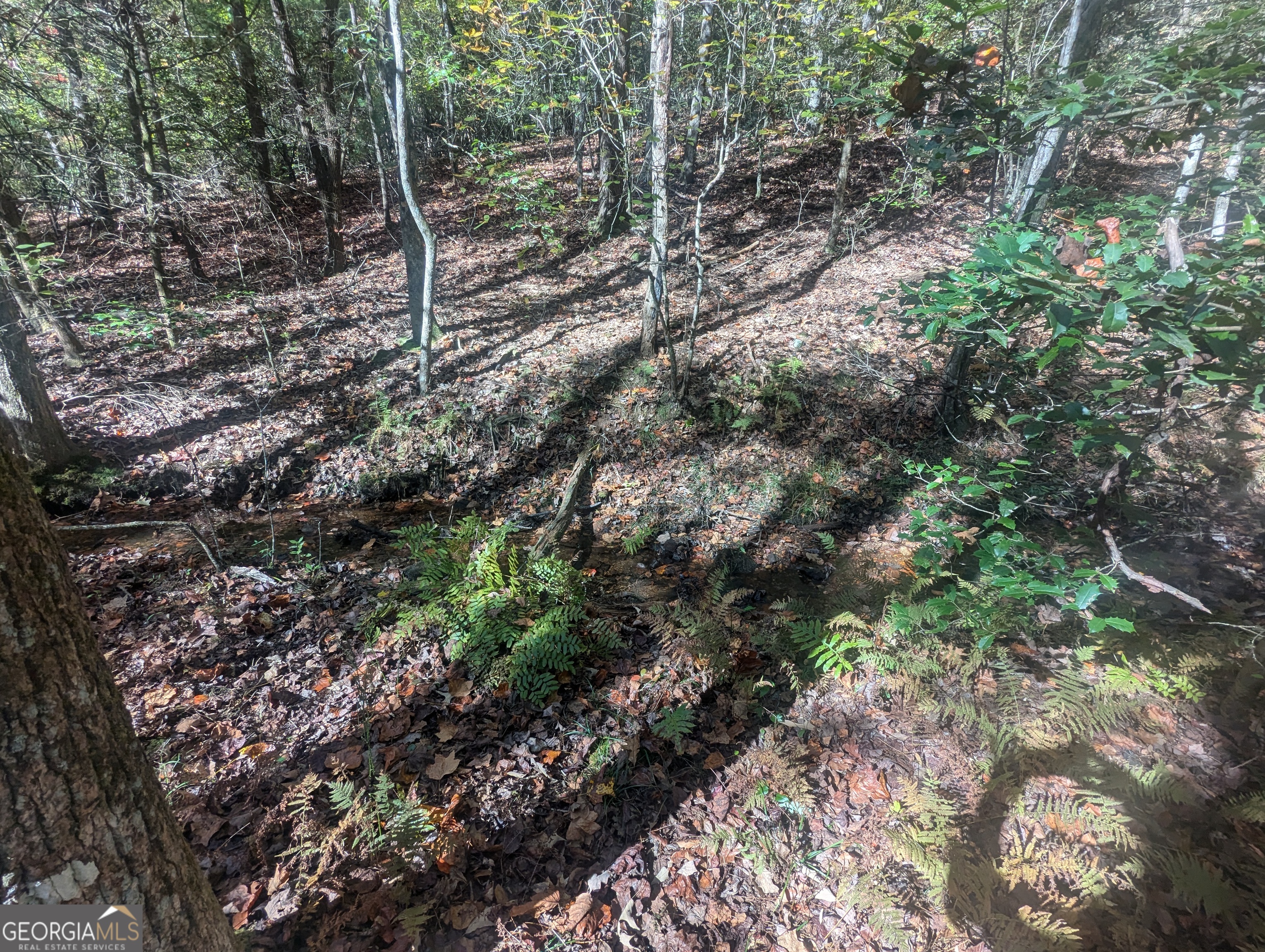 26.89 Ac Shadow Lane Property Photo 19