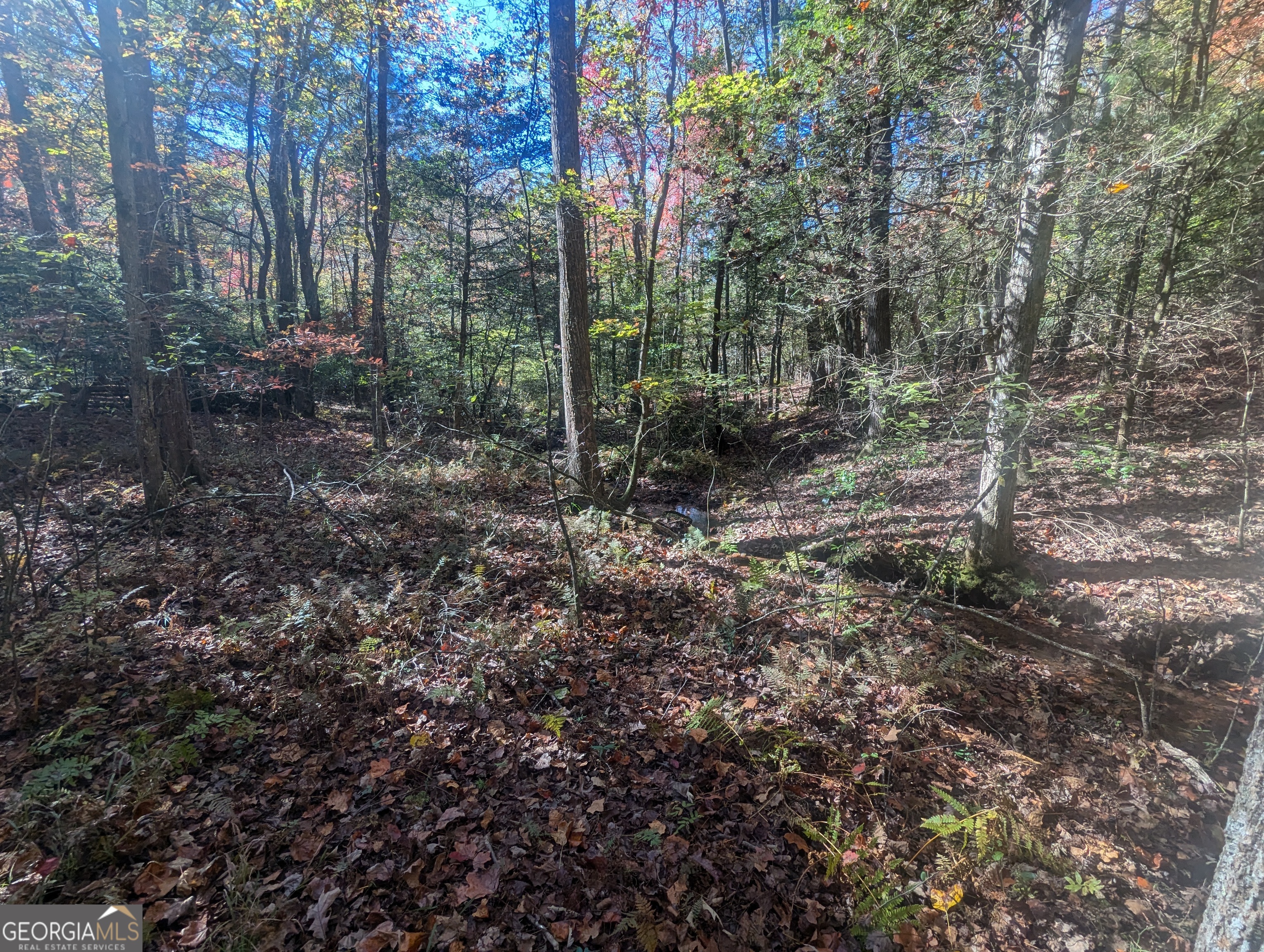 26.89 Ac Shadow Lane Property Photo 20