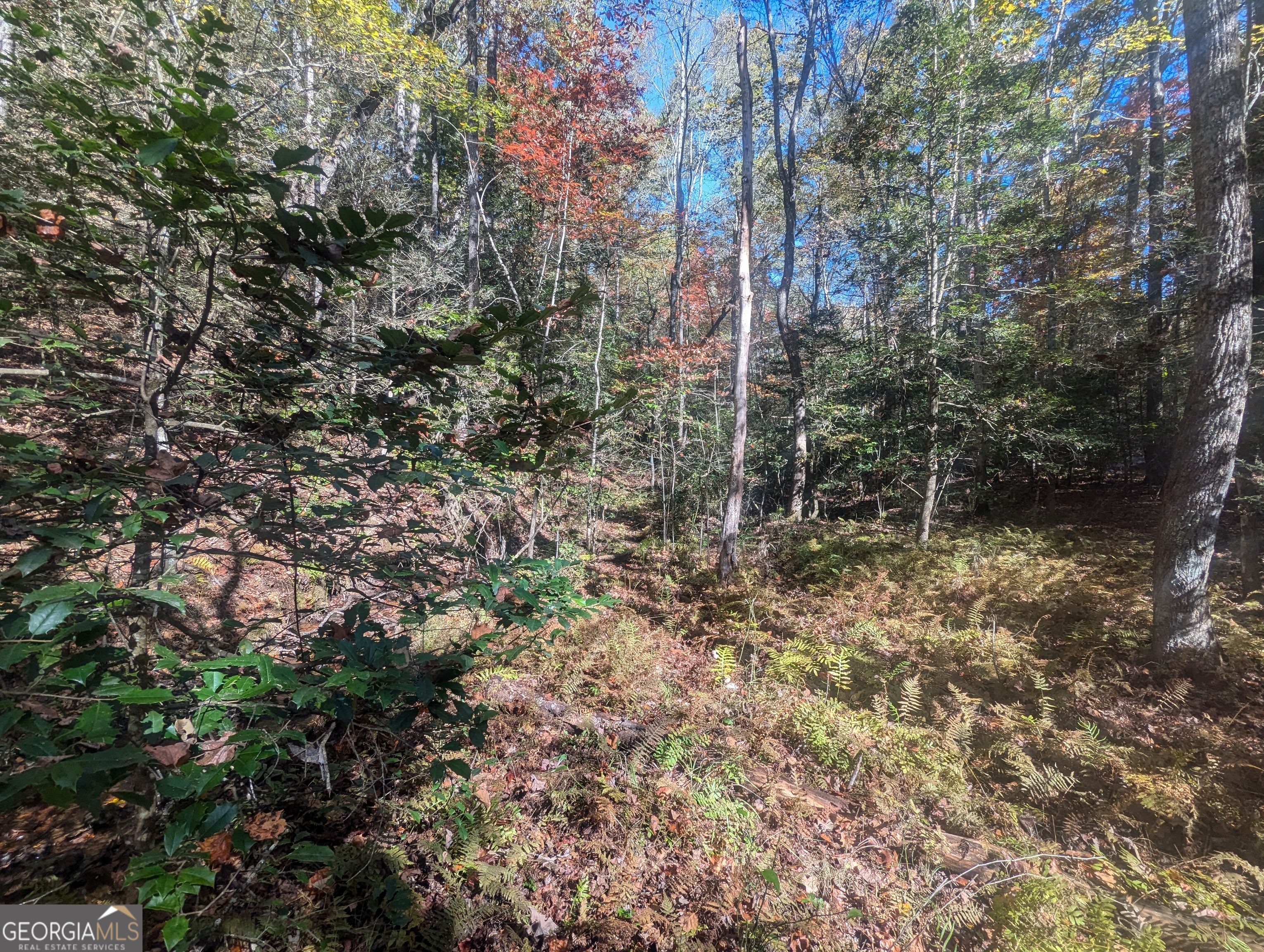 26.89 Ac Shadow Lane Property Photo 21