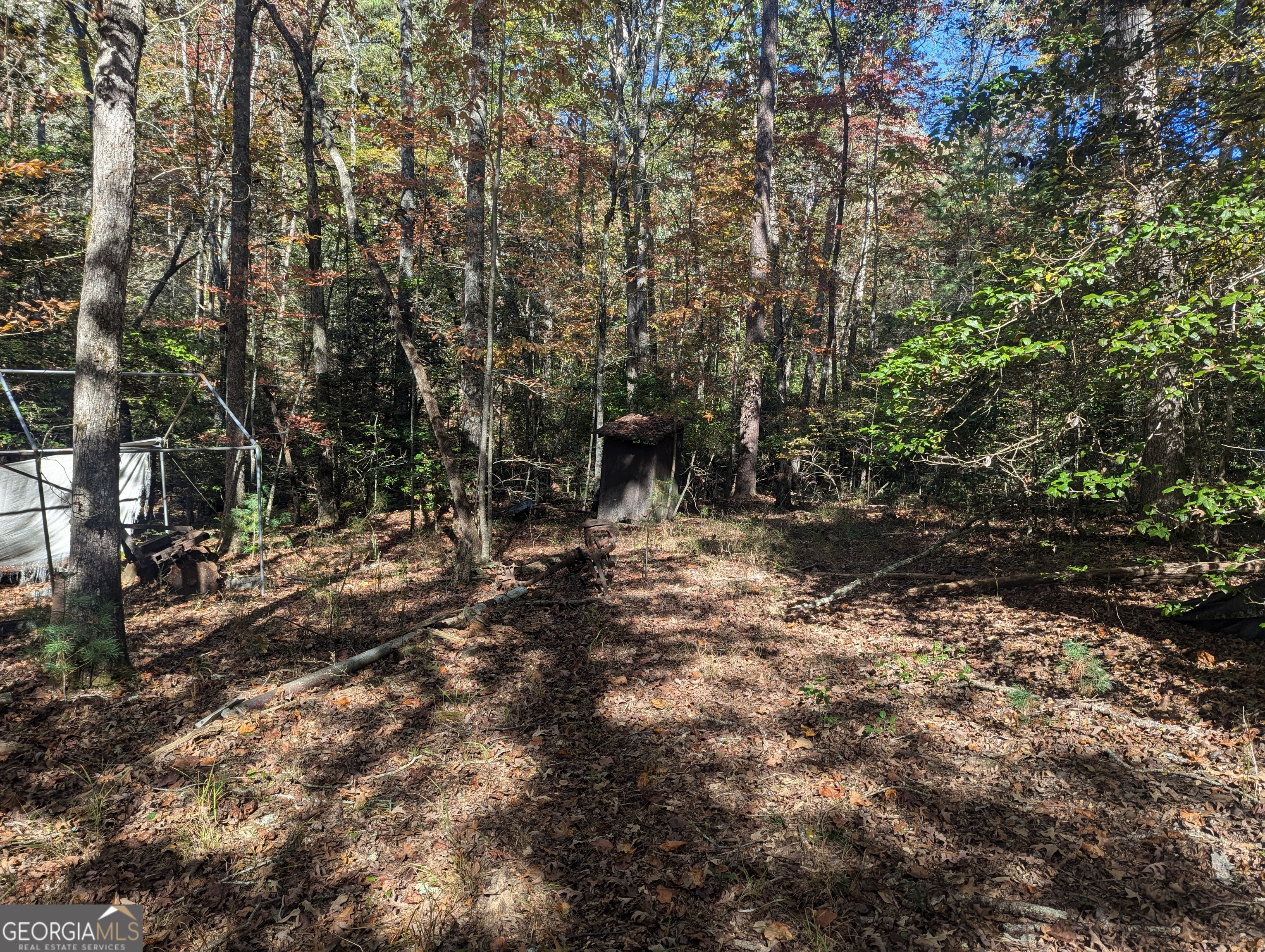 26.89 Ac Shadow Lane Property Photo 22