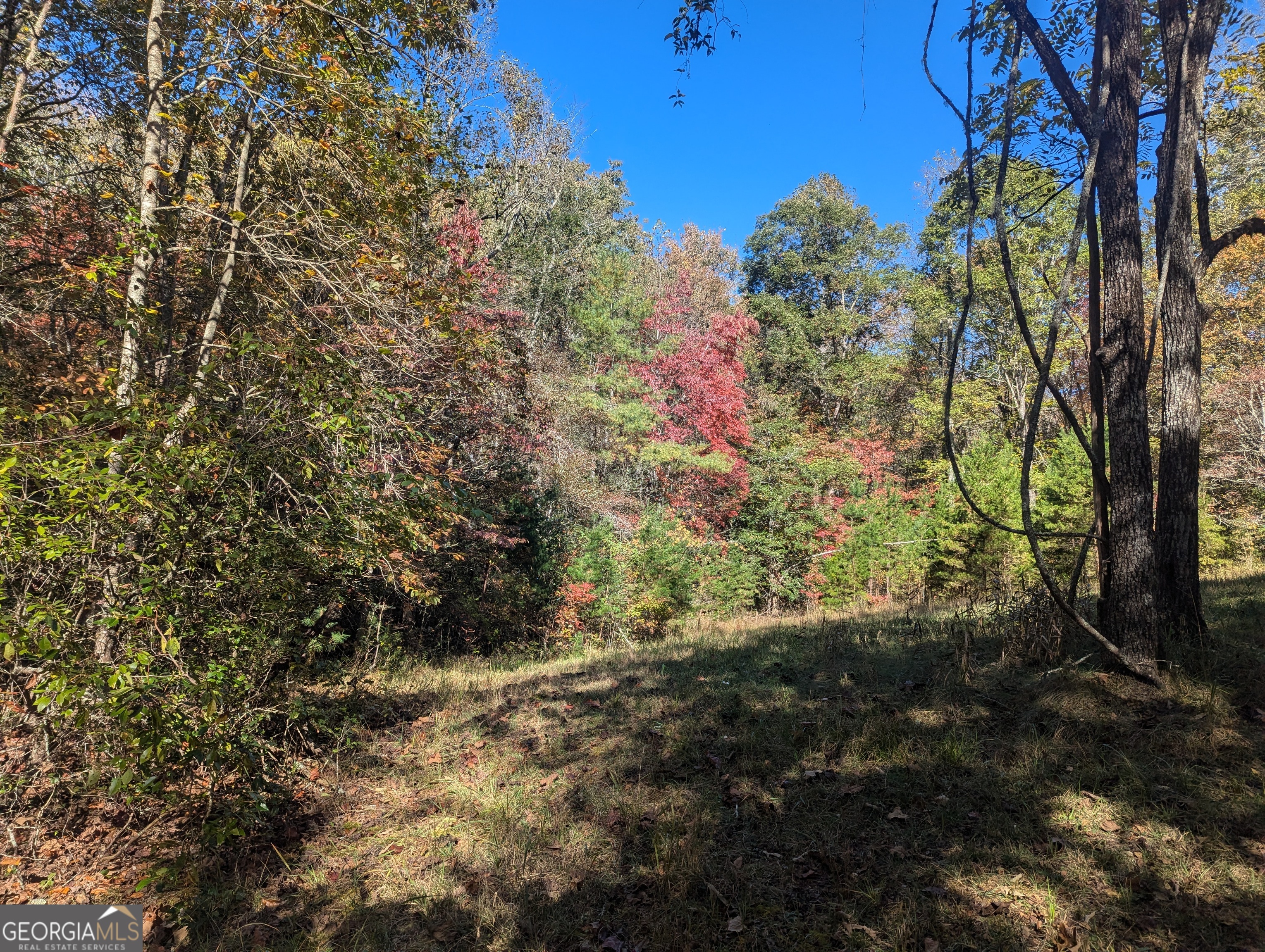 26.89 Ac Shadow Lane Property Photo 23