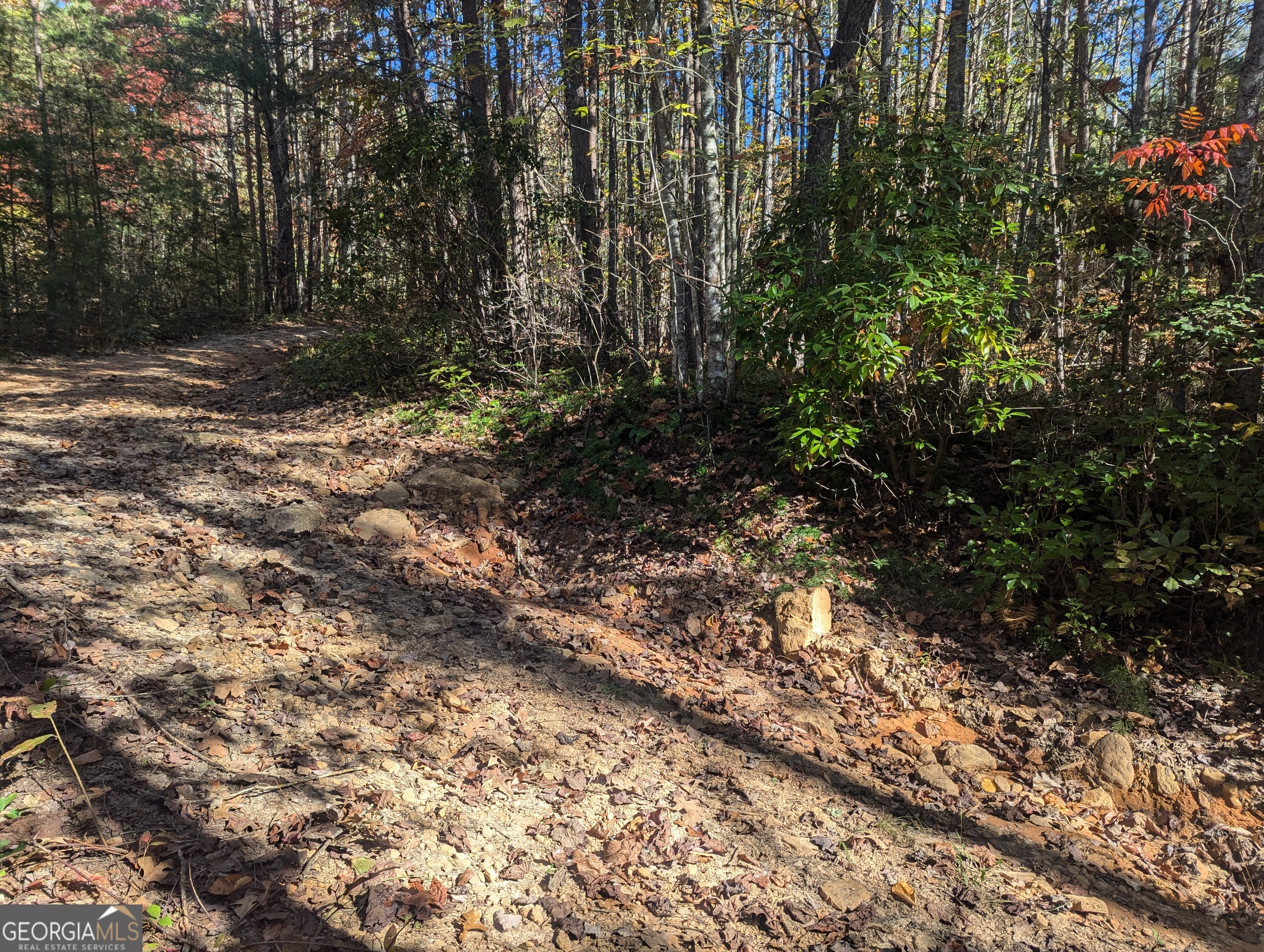 26.89 Ac Shadow Lane Property Photo 24