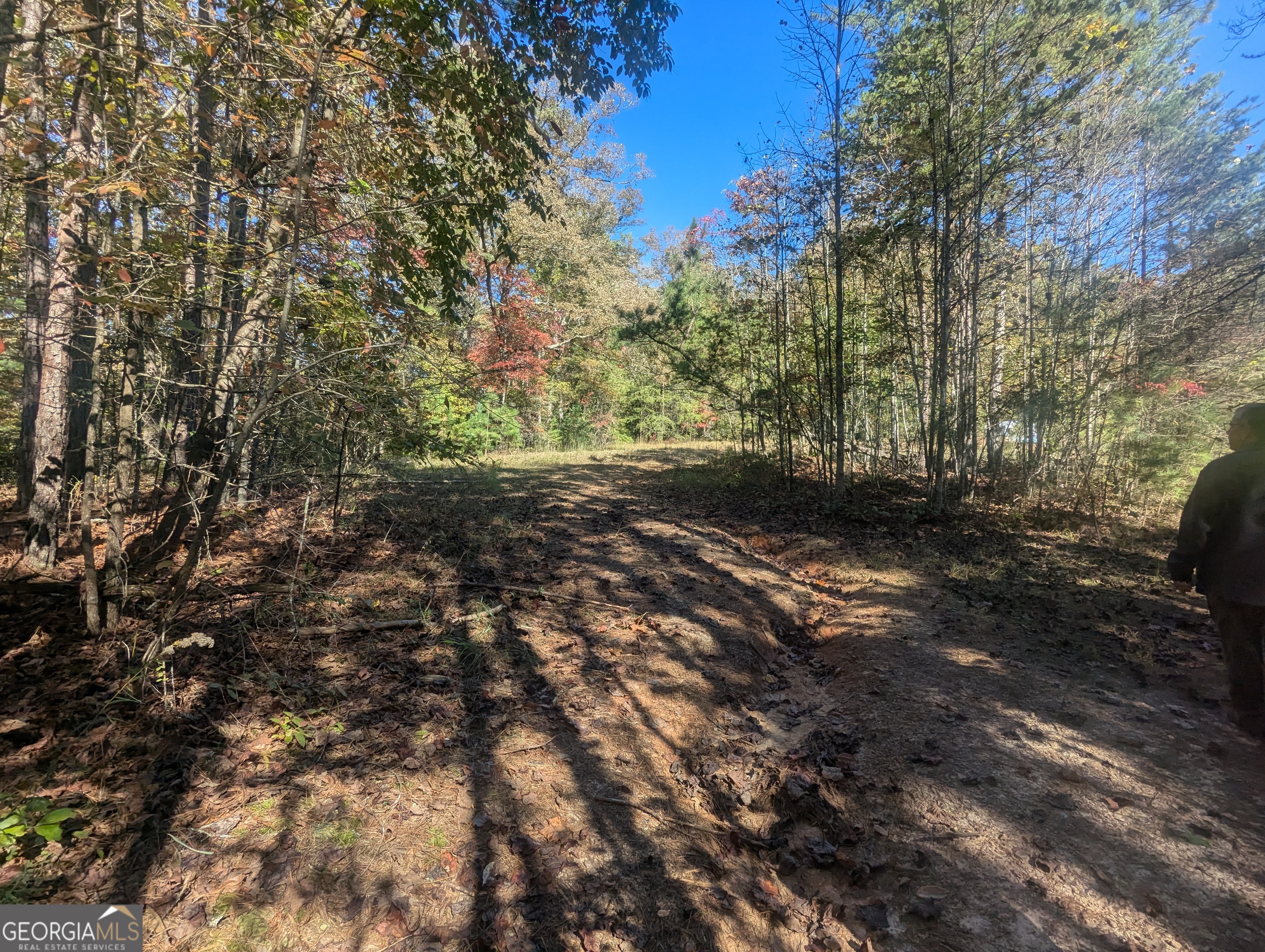 26.89 Ac Shadow Lane Property Photo 26
