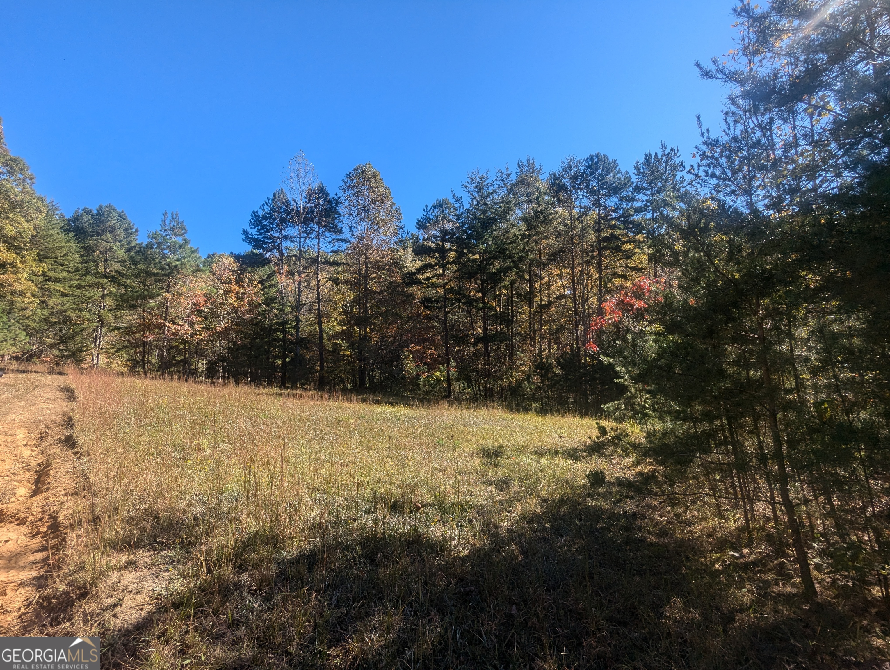 26.89 Ac Shadow Lane Property Photo 28